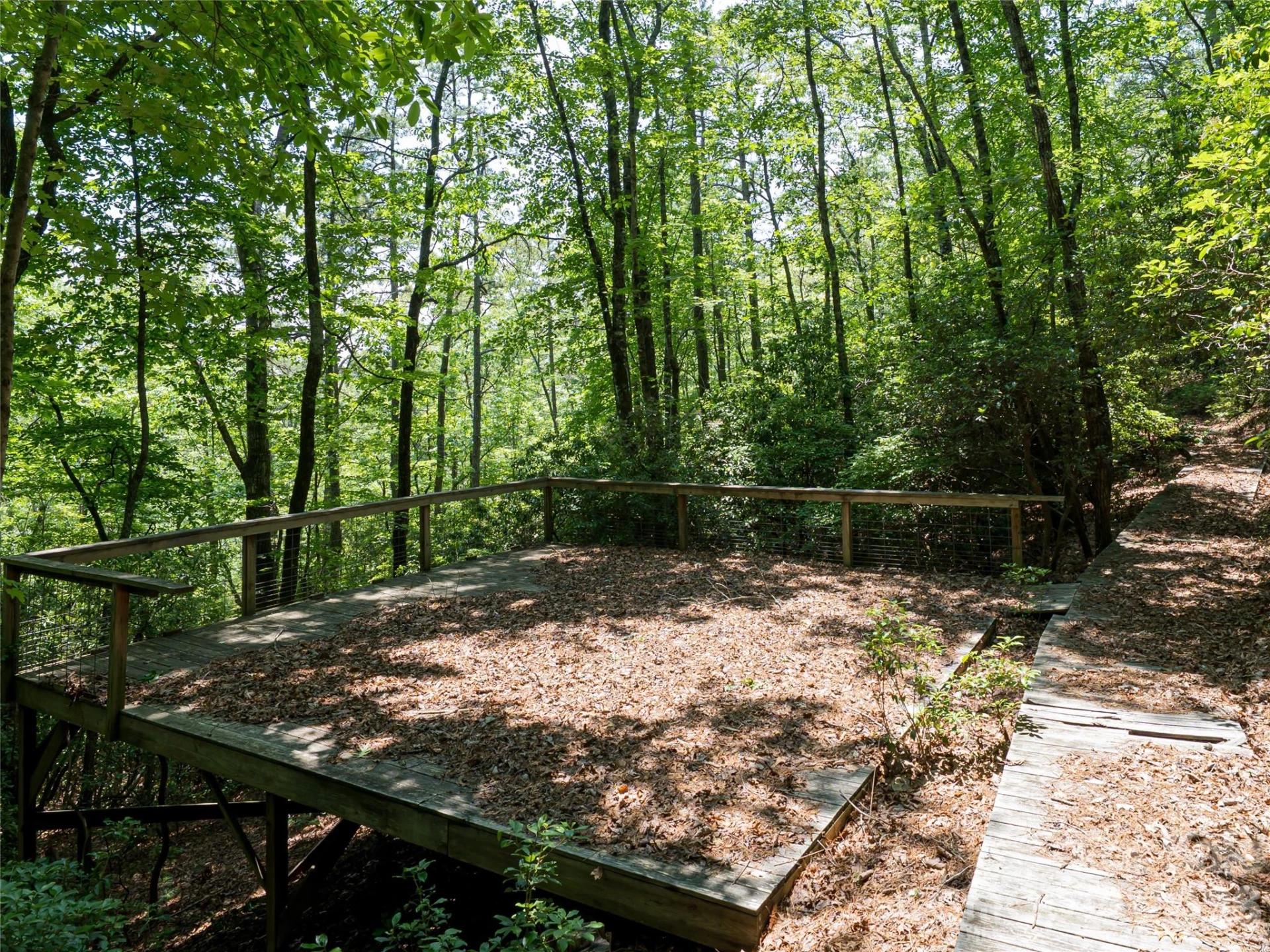 1000 Sutton Creek Road - Photo 6