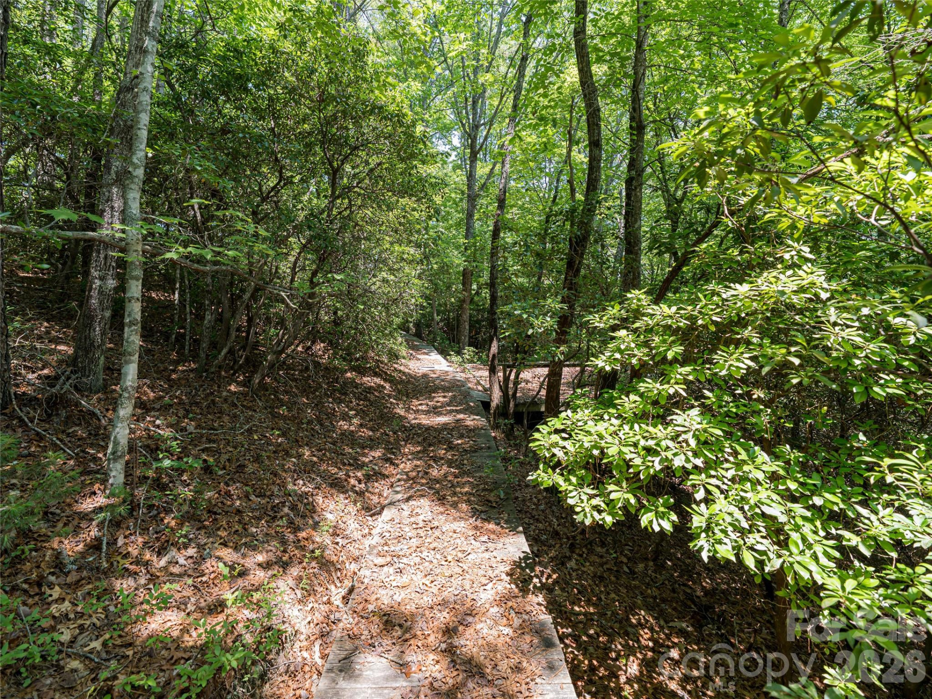 1000 Sutton Creek Road - Photo 10
