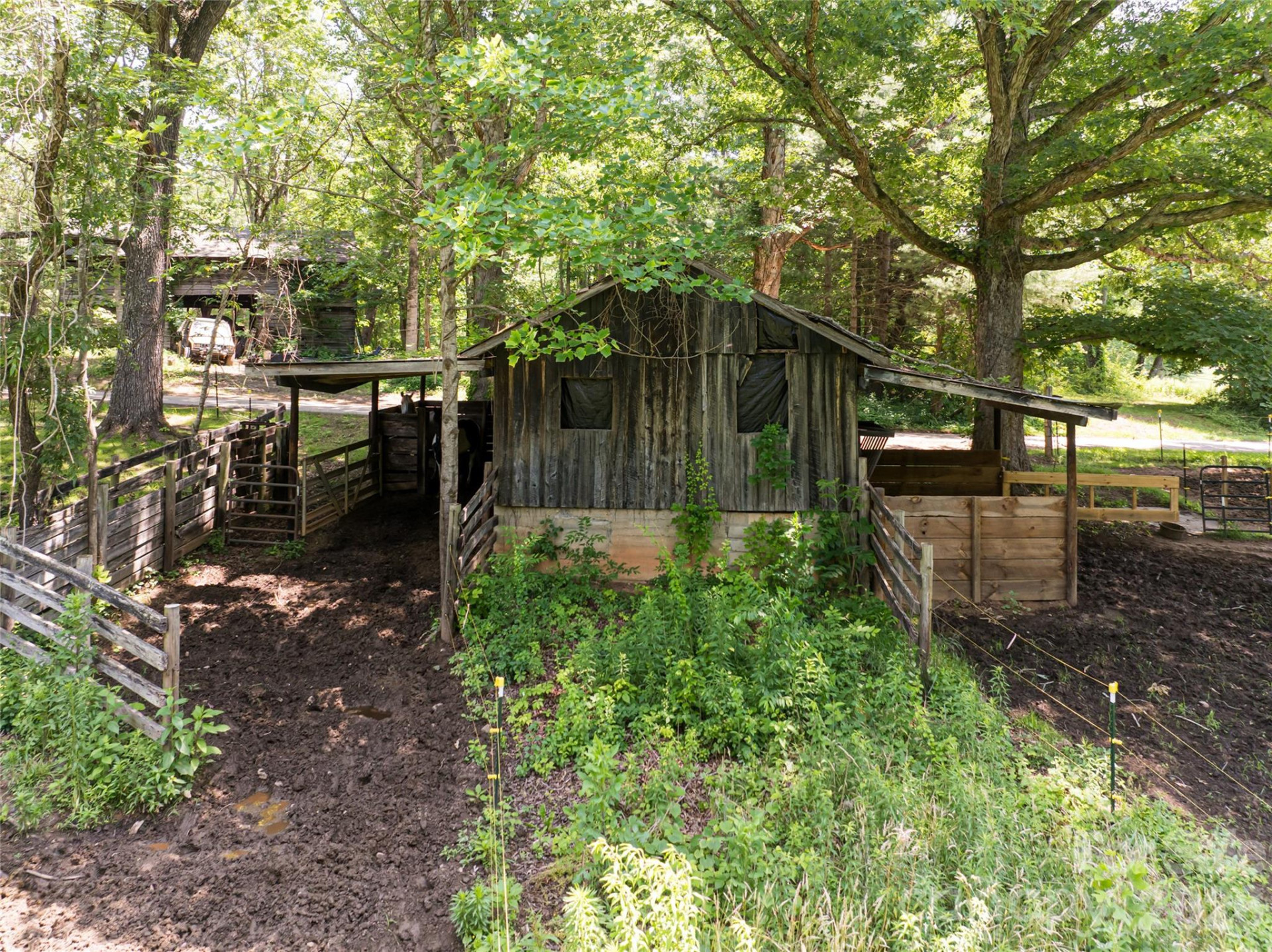 173 Avery Creek Road - Photo 12