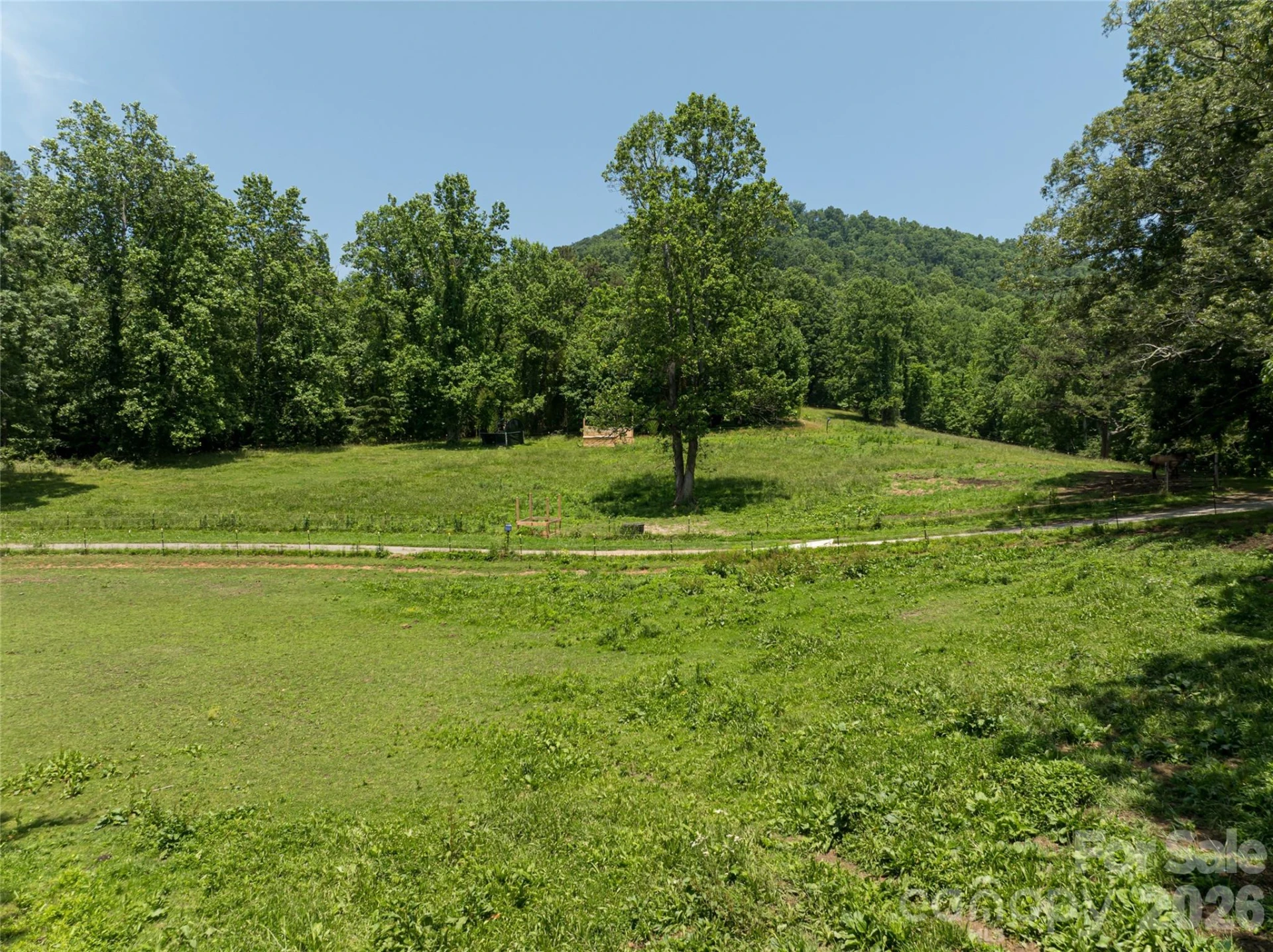 173 Avery Creek Road - Photo 15