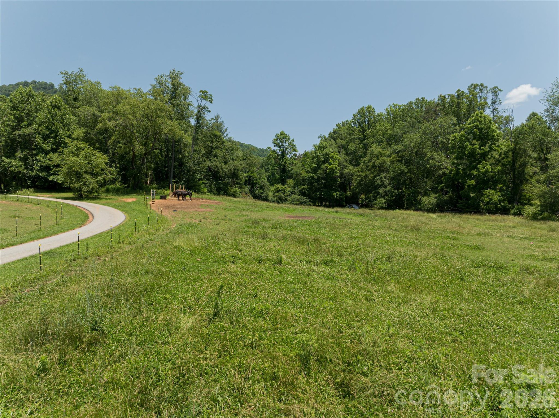 173 Avery Creek Road - Photo 3