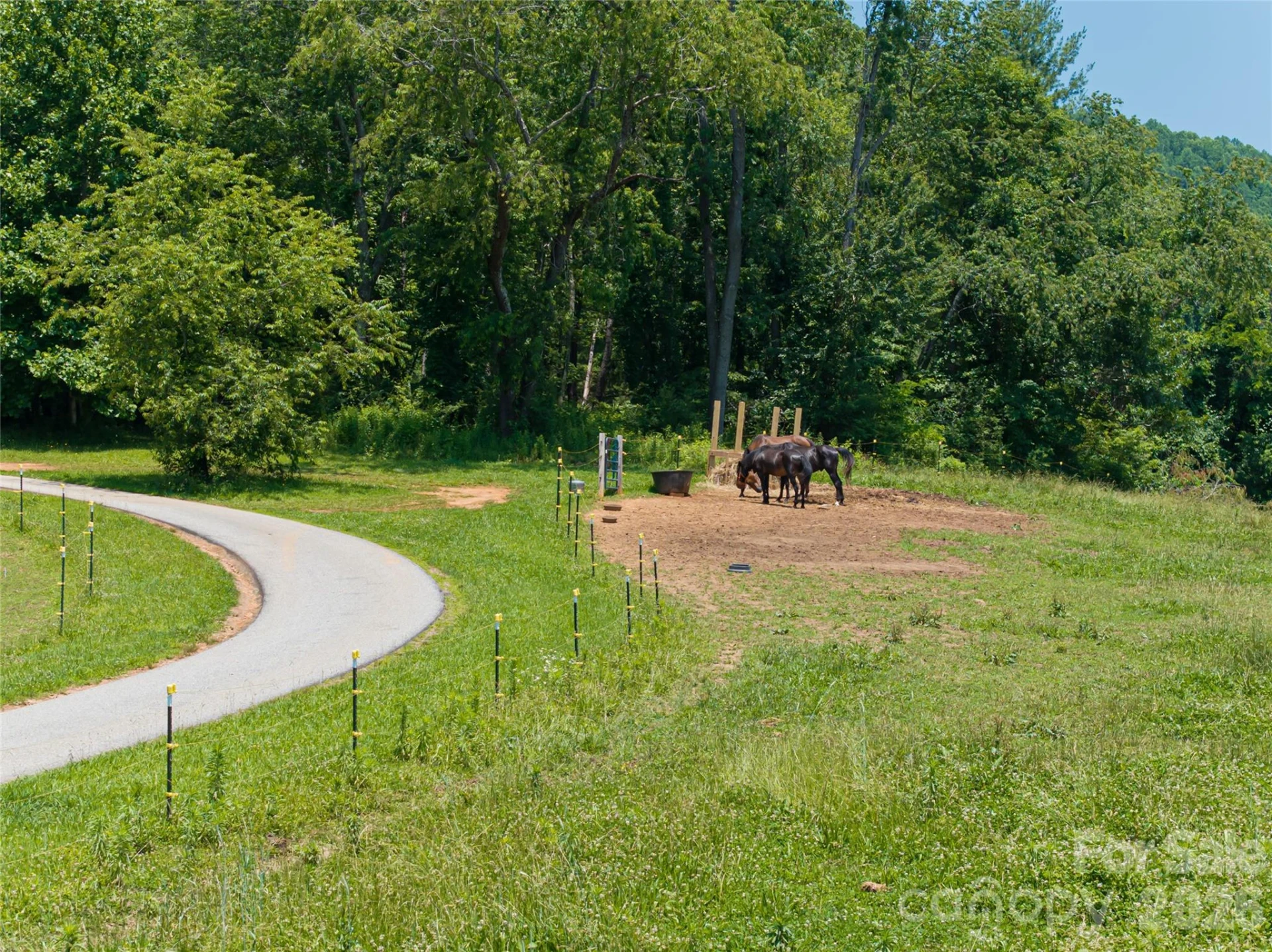 173 Avery Creek Road - Photo 5