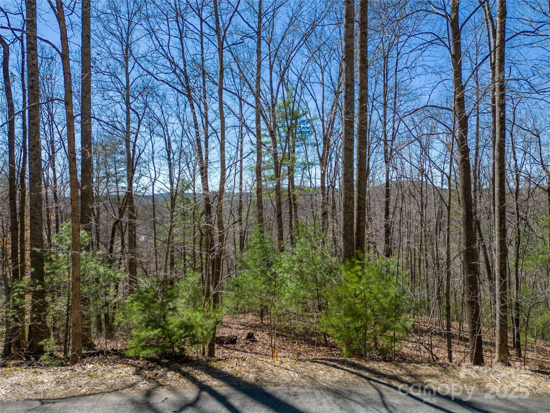 132 Overlook Park Drive #51