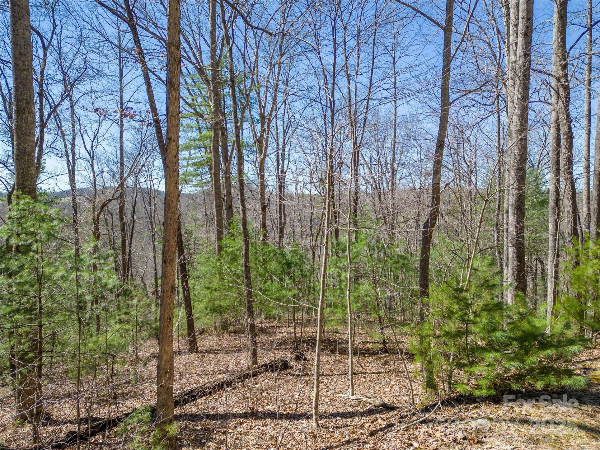 132 Overlook Park Drive #51 - Photo 17