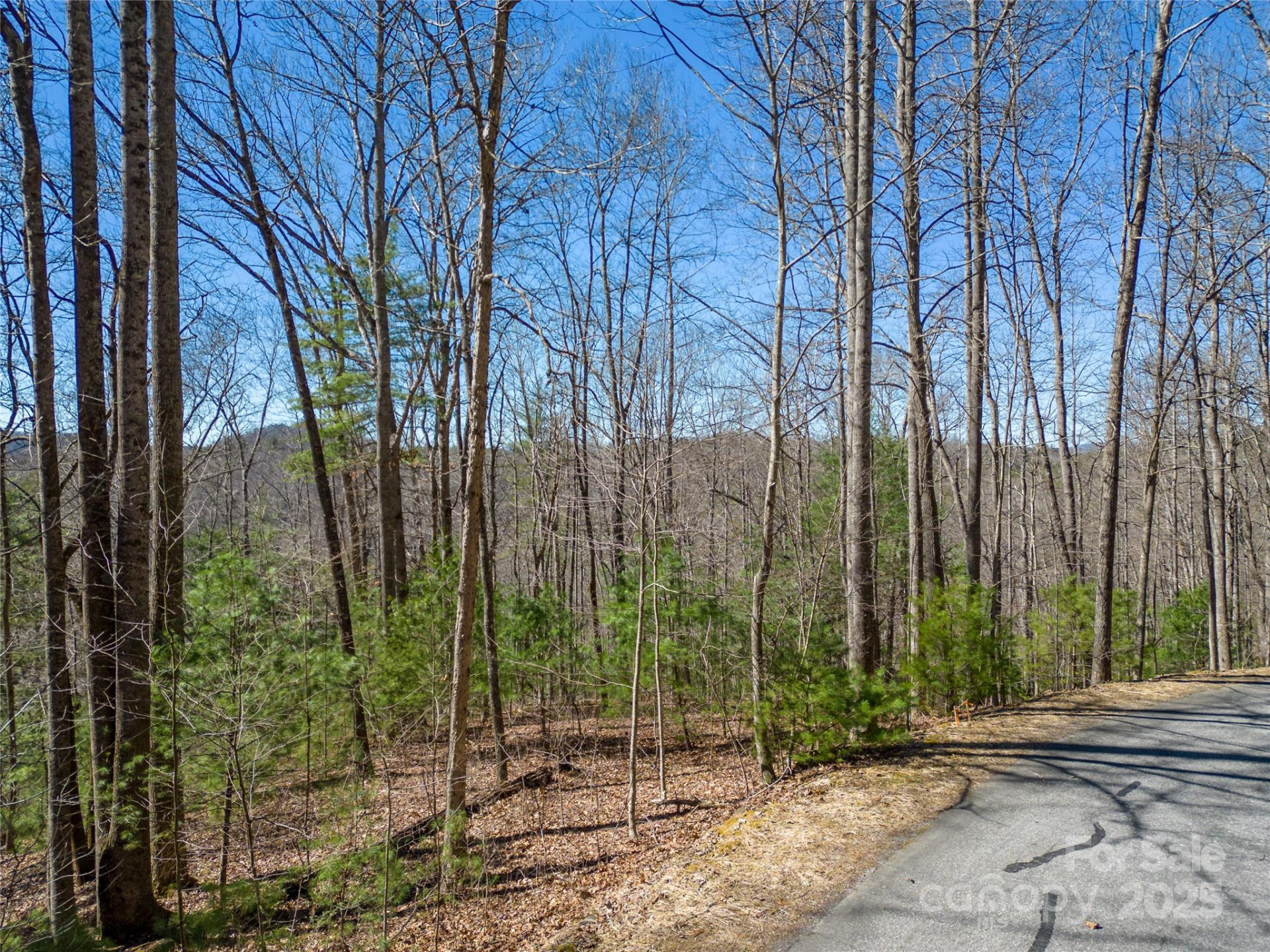 132 Overlook Park Drive #51 - Photo 4