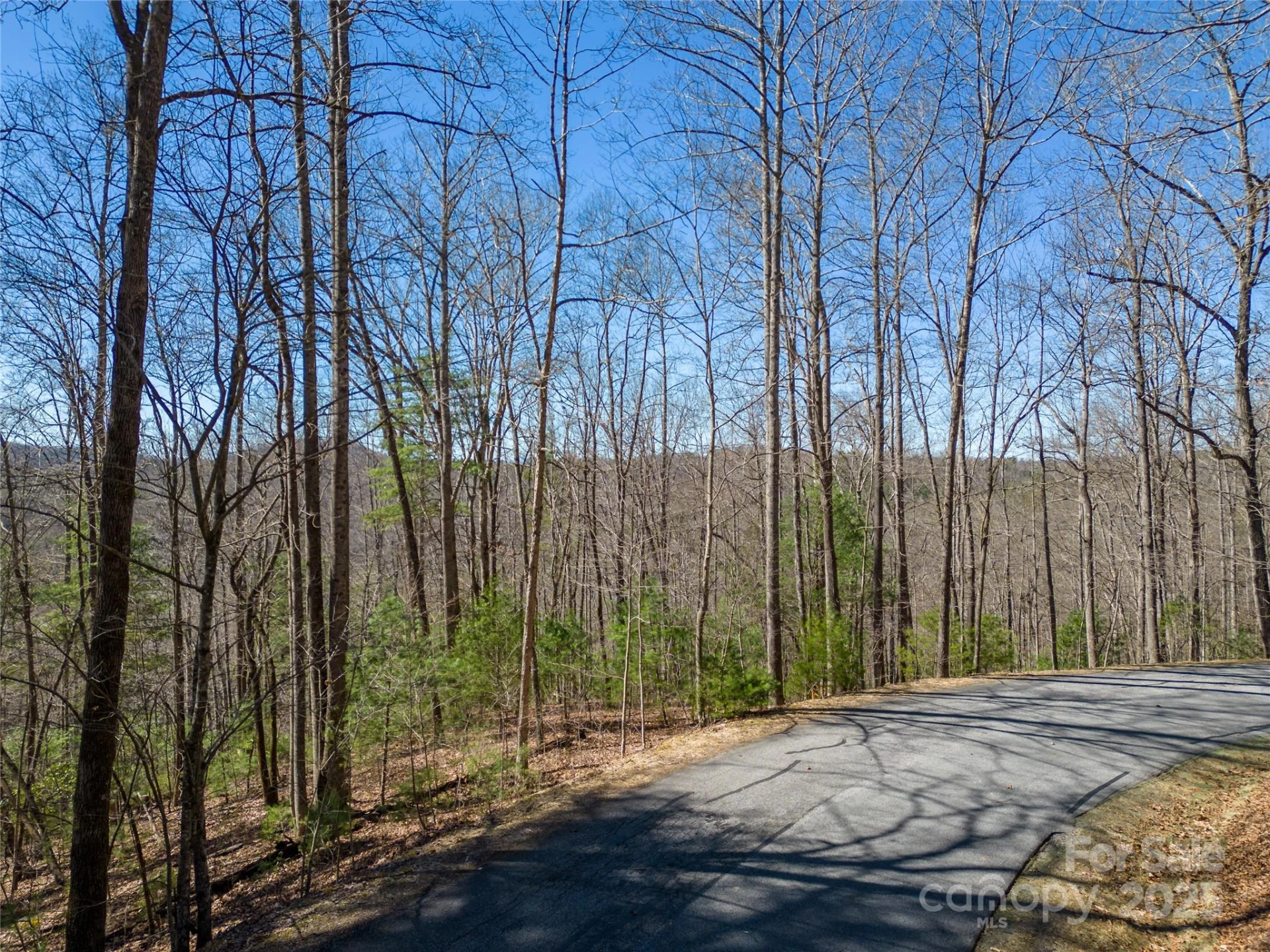 132 Overlook Park Drive #51 - Photo 6