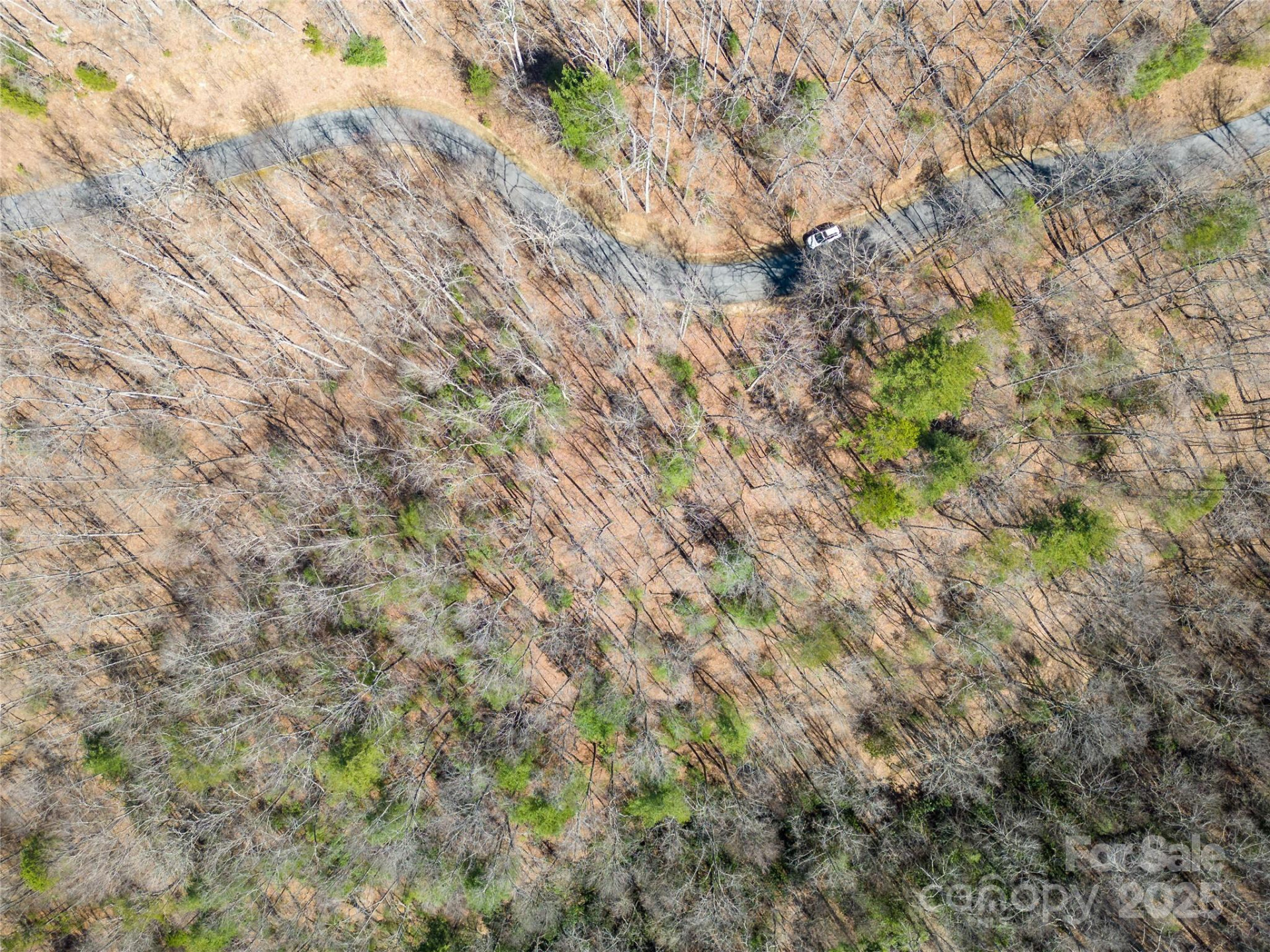 132 Overlook Park Drive #51 - Photo 7