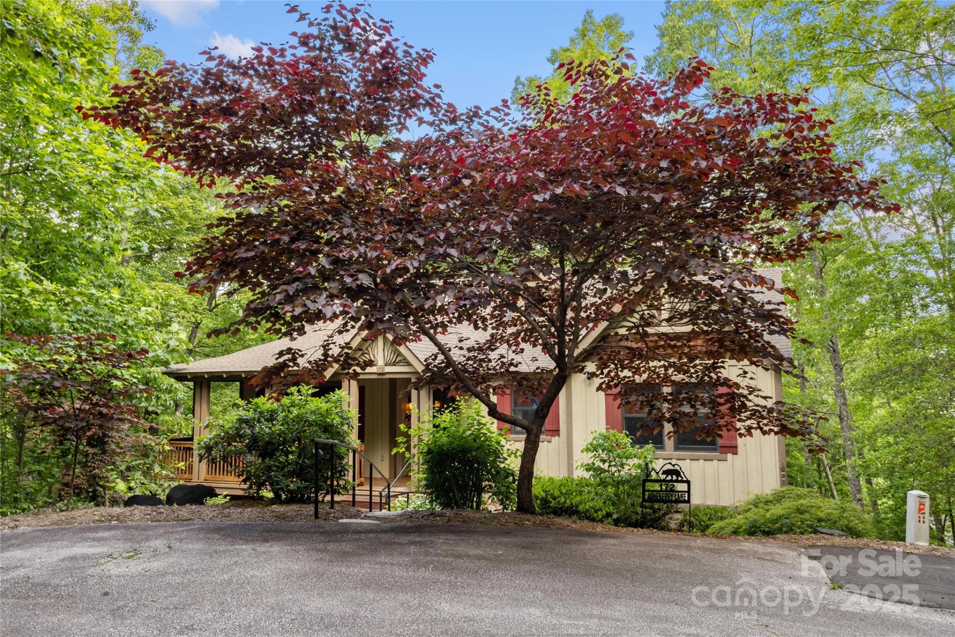 172 Juneberry Lane - Photo 3