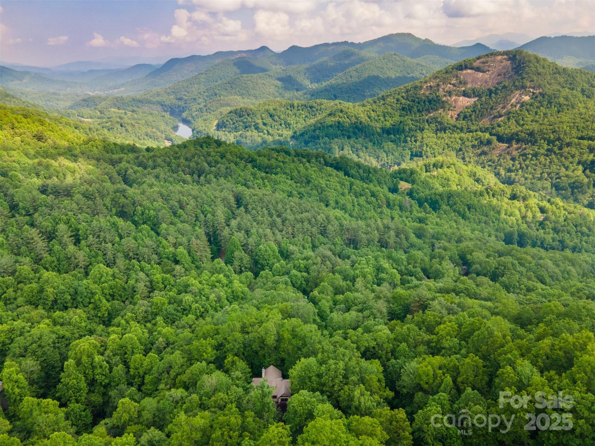 172 Juneberry Lane - Photo 4