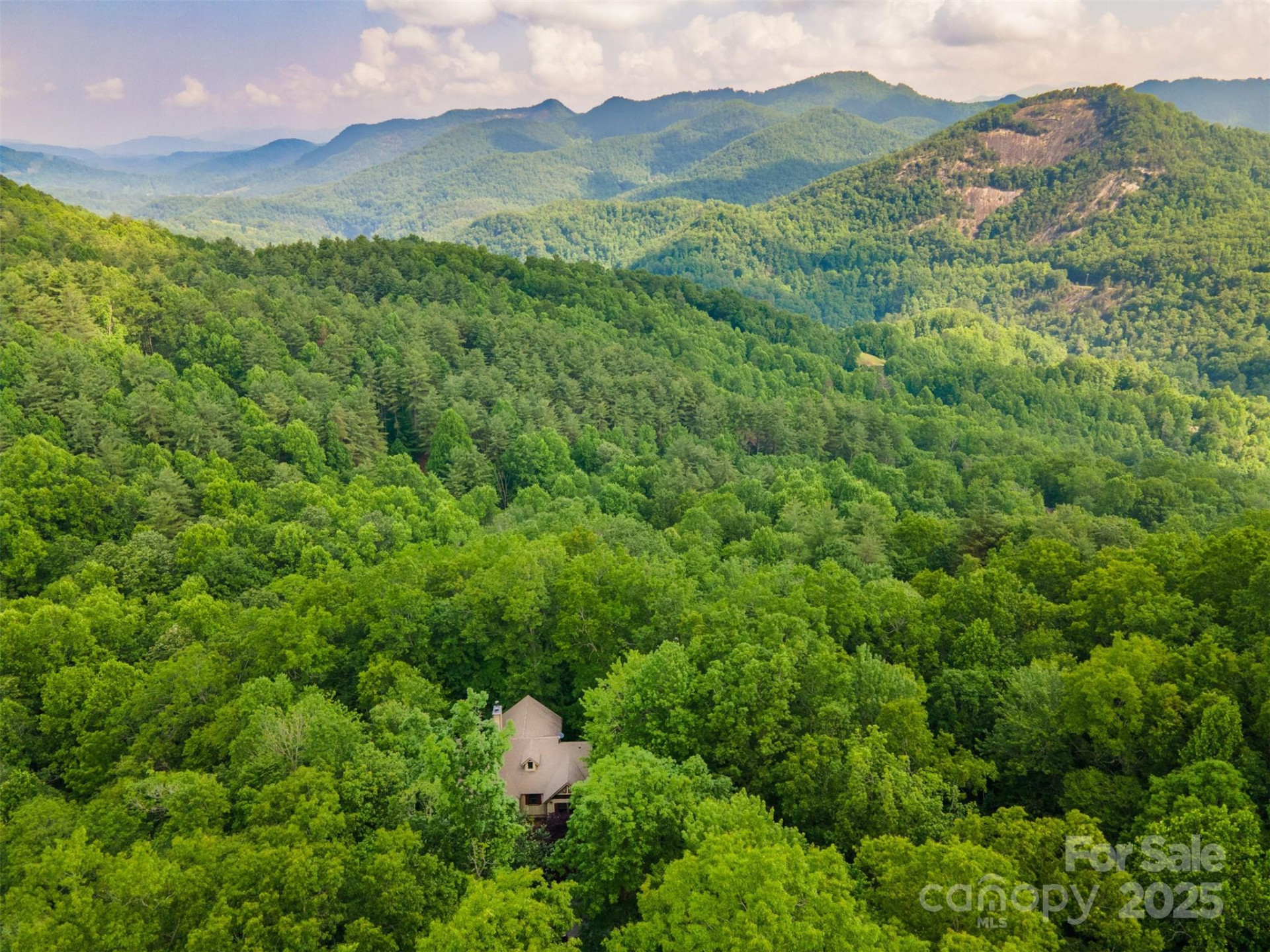 172 Juneberry Lane - Photo 5