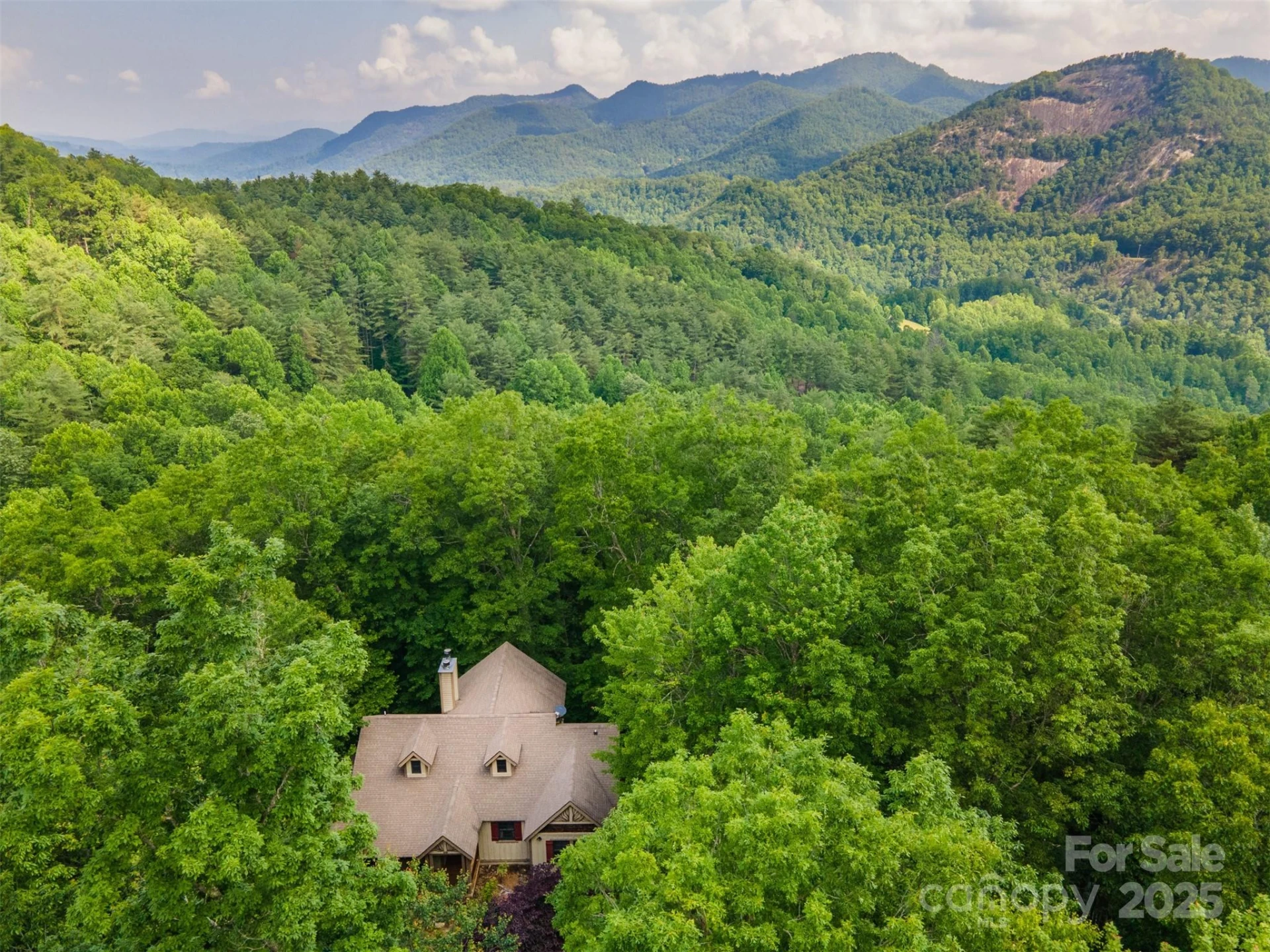 172 Juneberry Lane - Photo 6