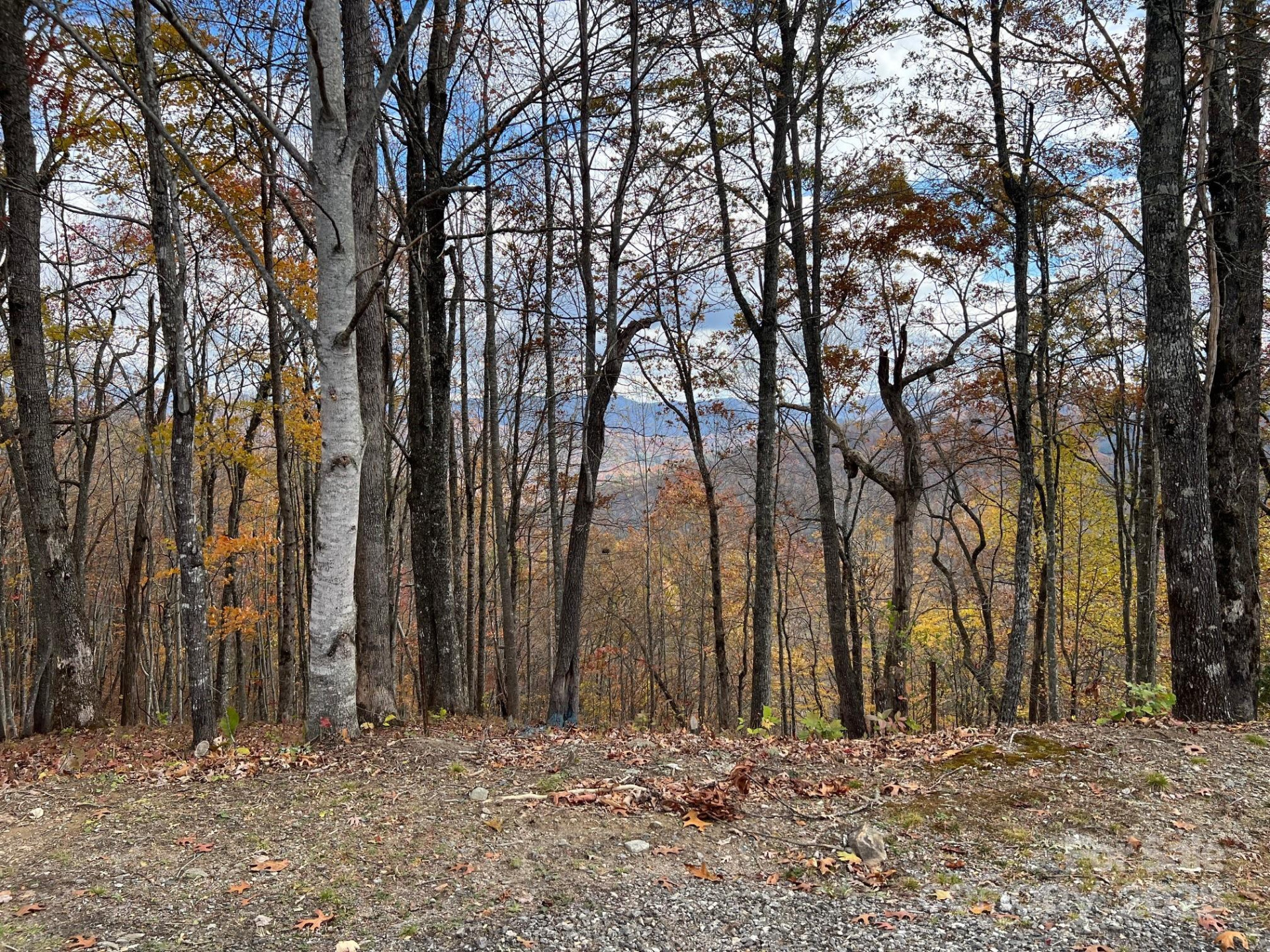 627 Steeplebush Court - Photo 18