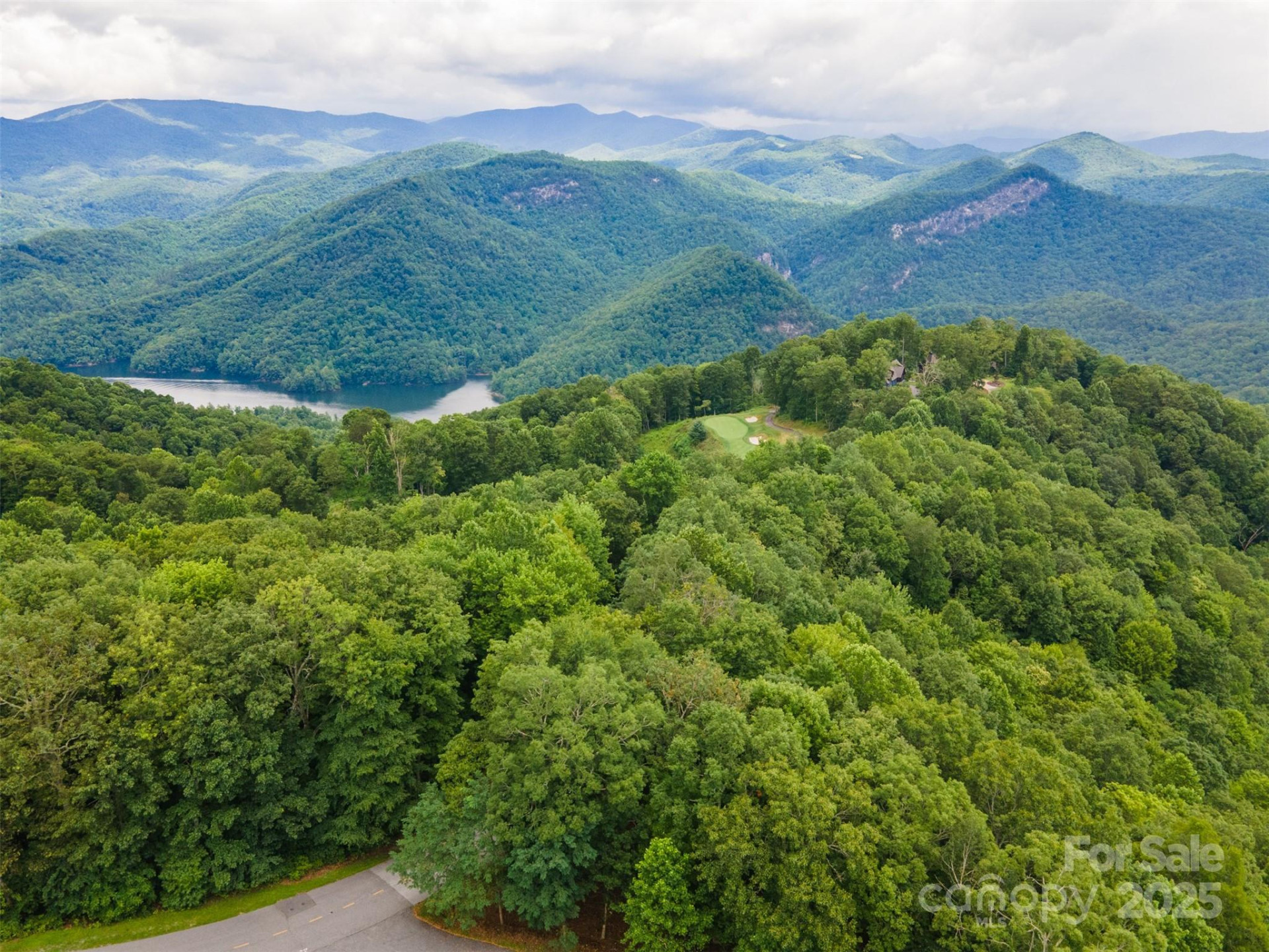 627 Steeplebush Court - Photo 4