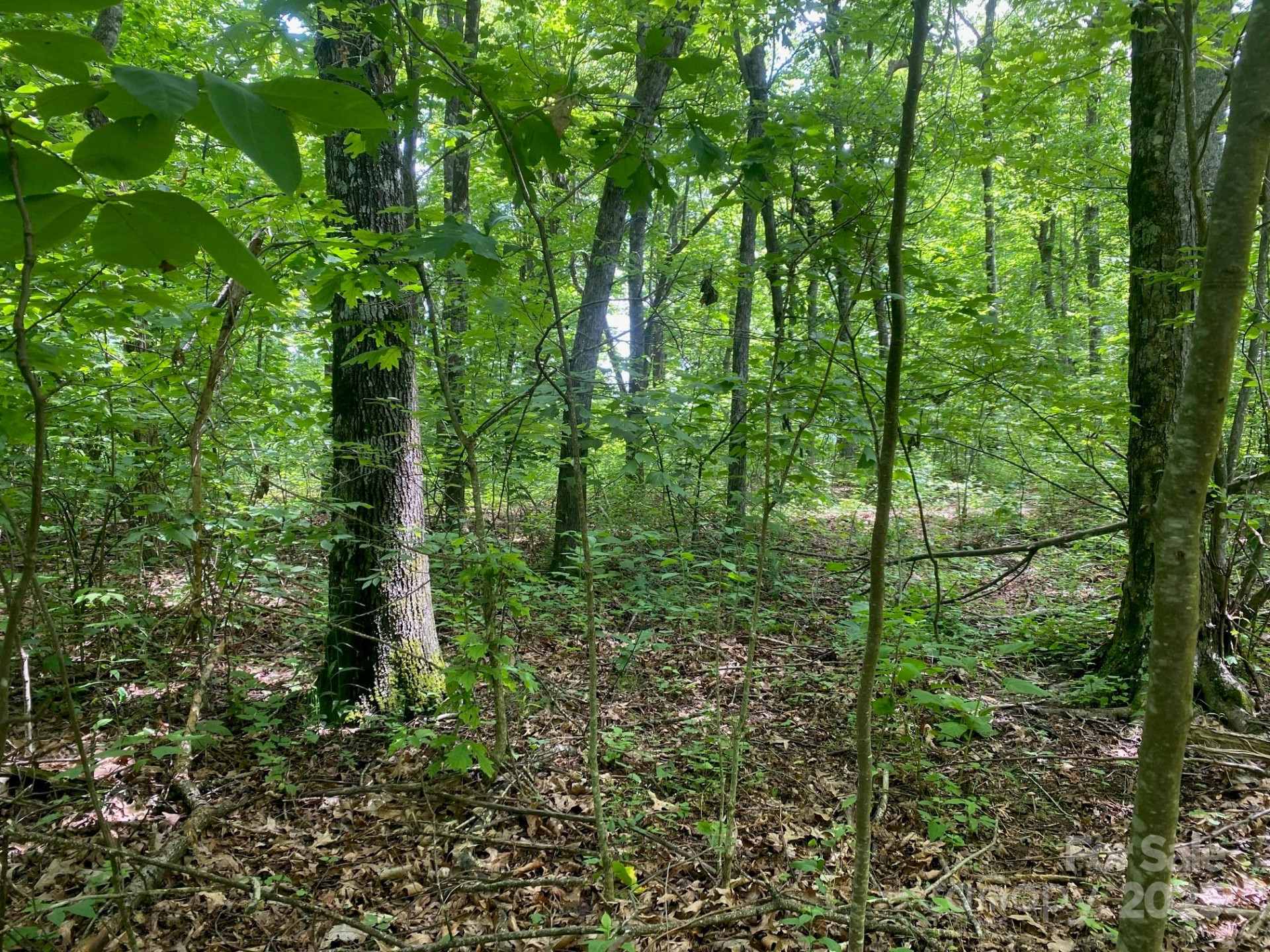 129 High Cliffs Trail - Photo 3