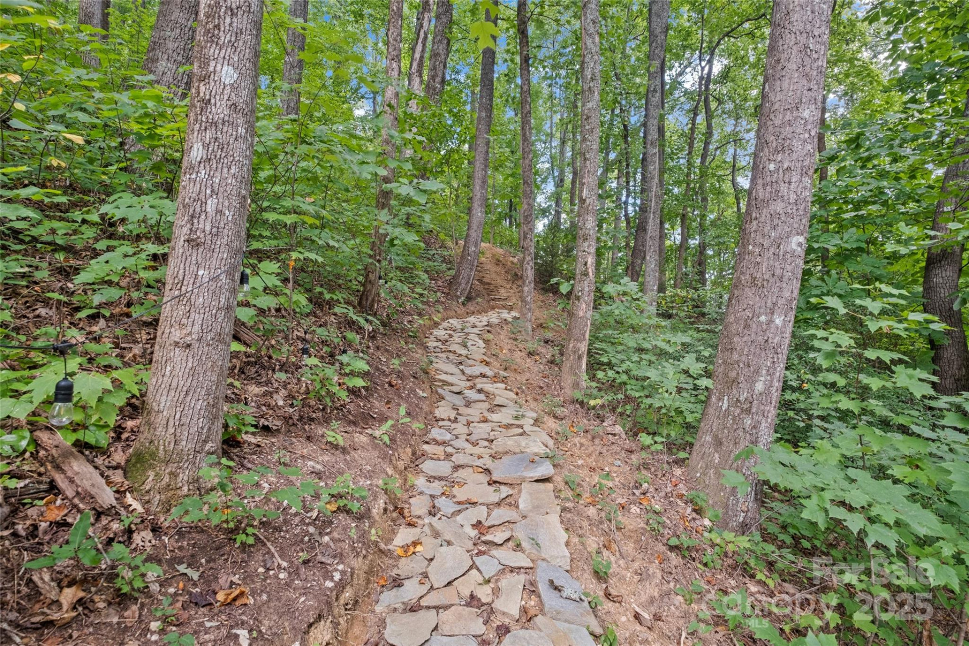 214&212 McKenzie Way - Photo 8