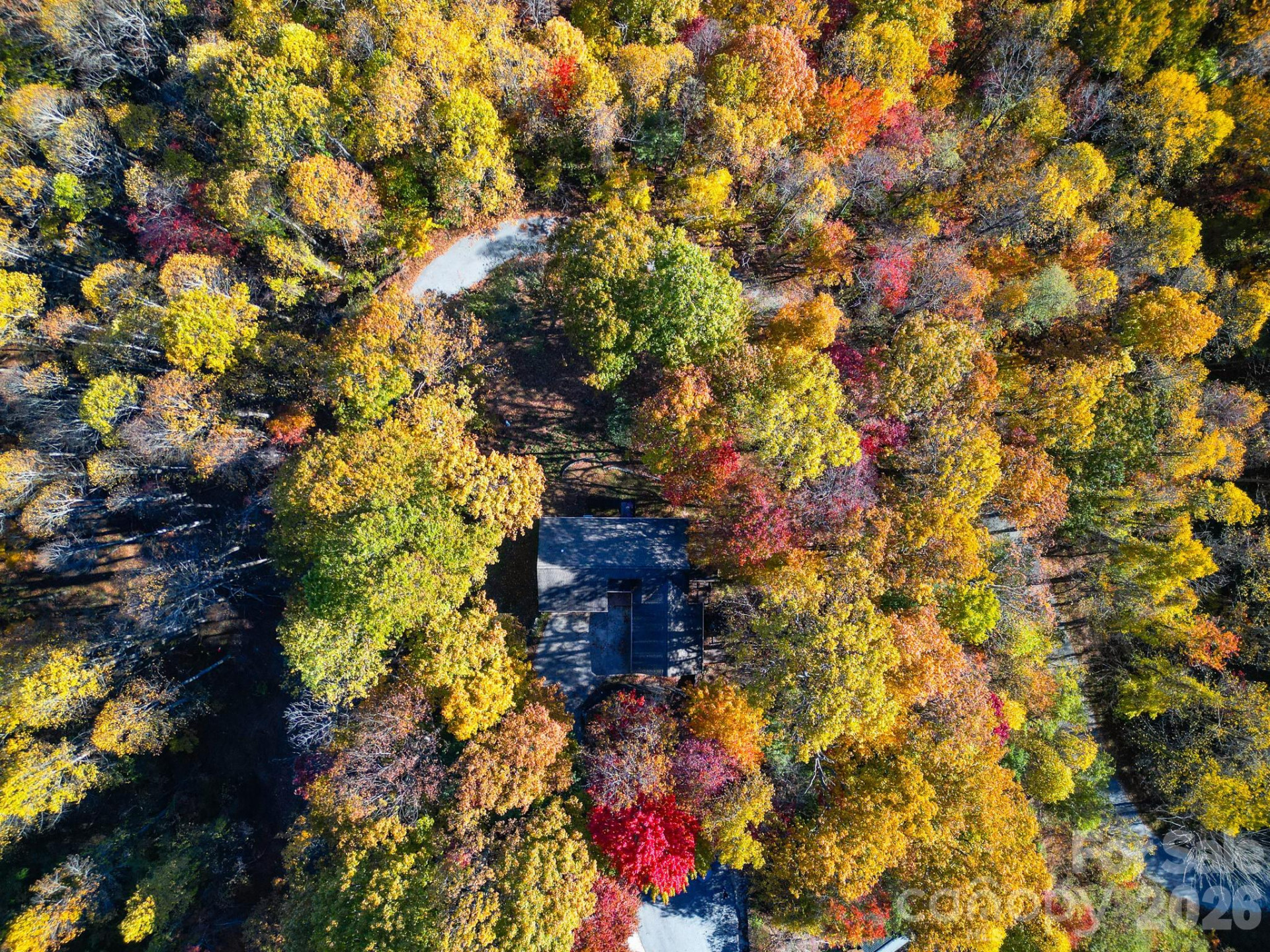 110 Spring Path - Photo 85