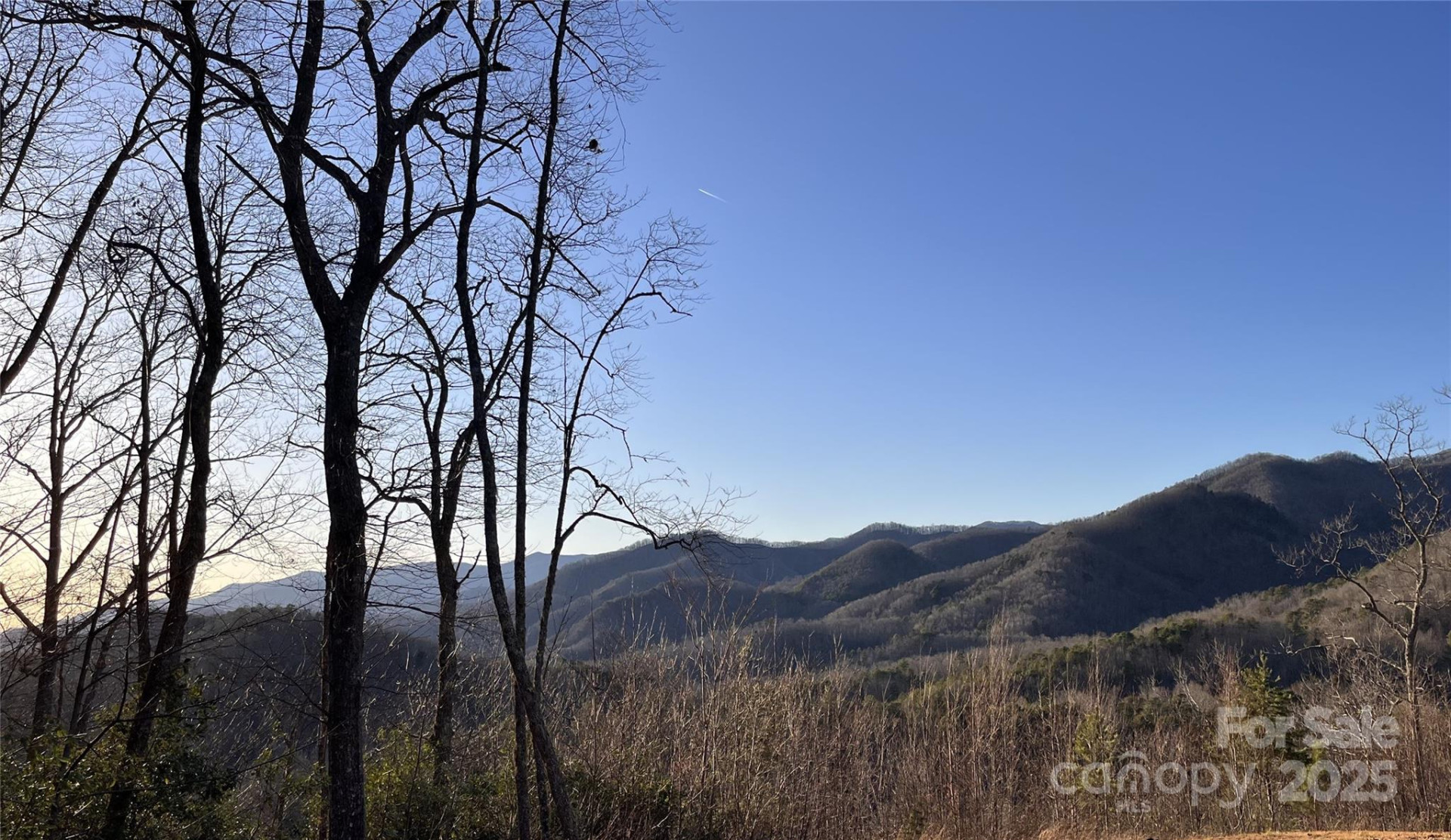 500 Fernwood Drive - Photo 4