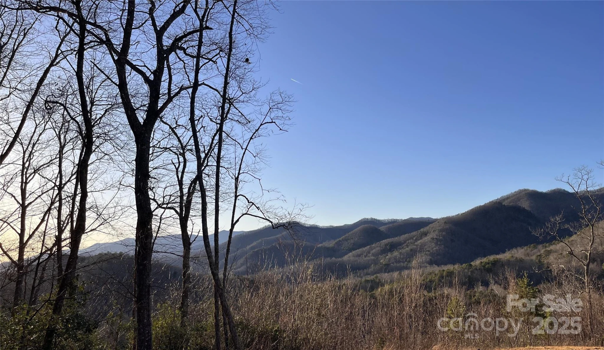 500 Fernwood Drive - Photo 4