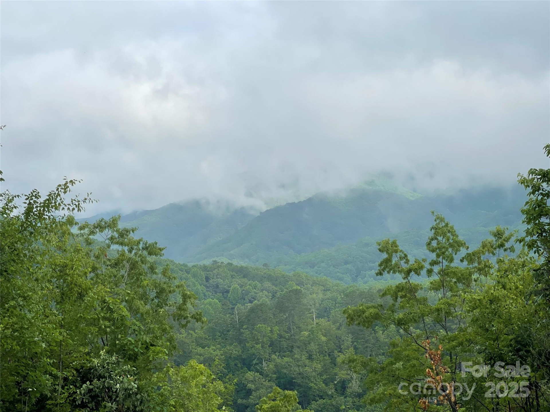 500 Fernwood Drive - Photo 5