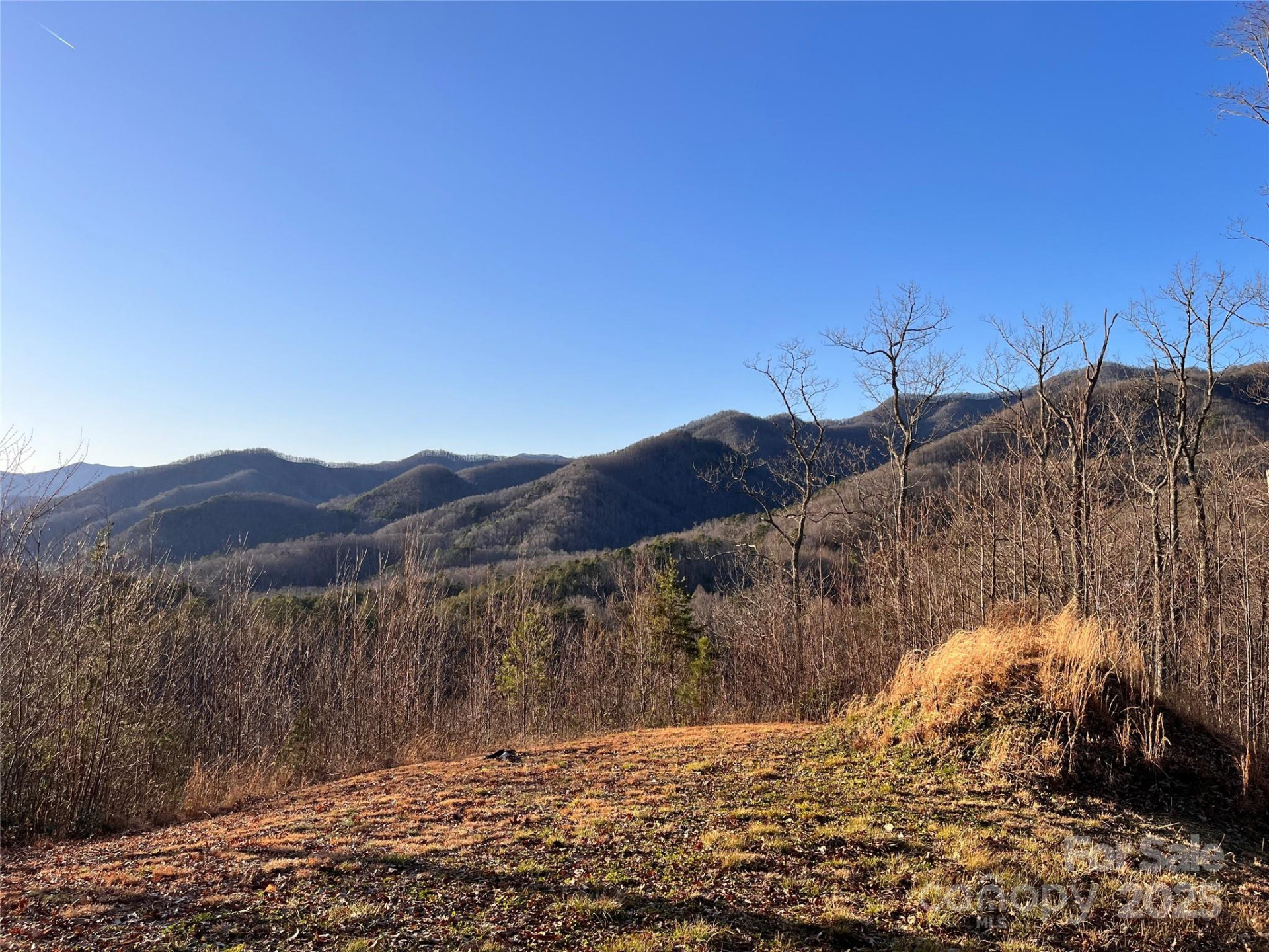 600 Fernwood Drive - Photo 4