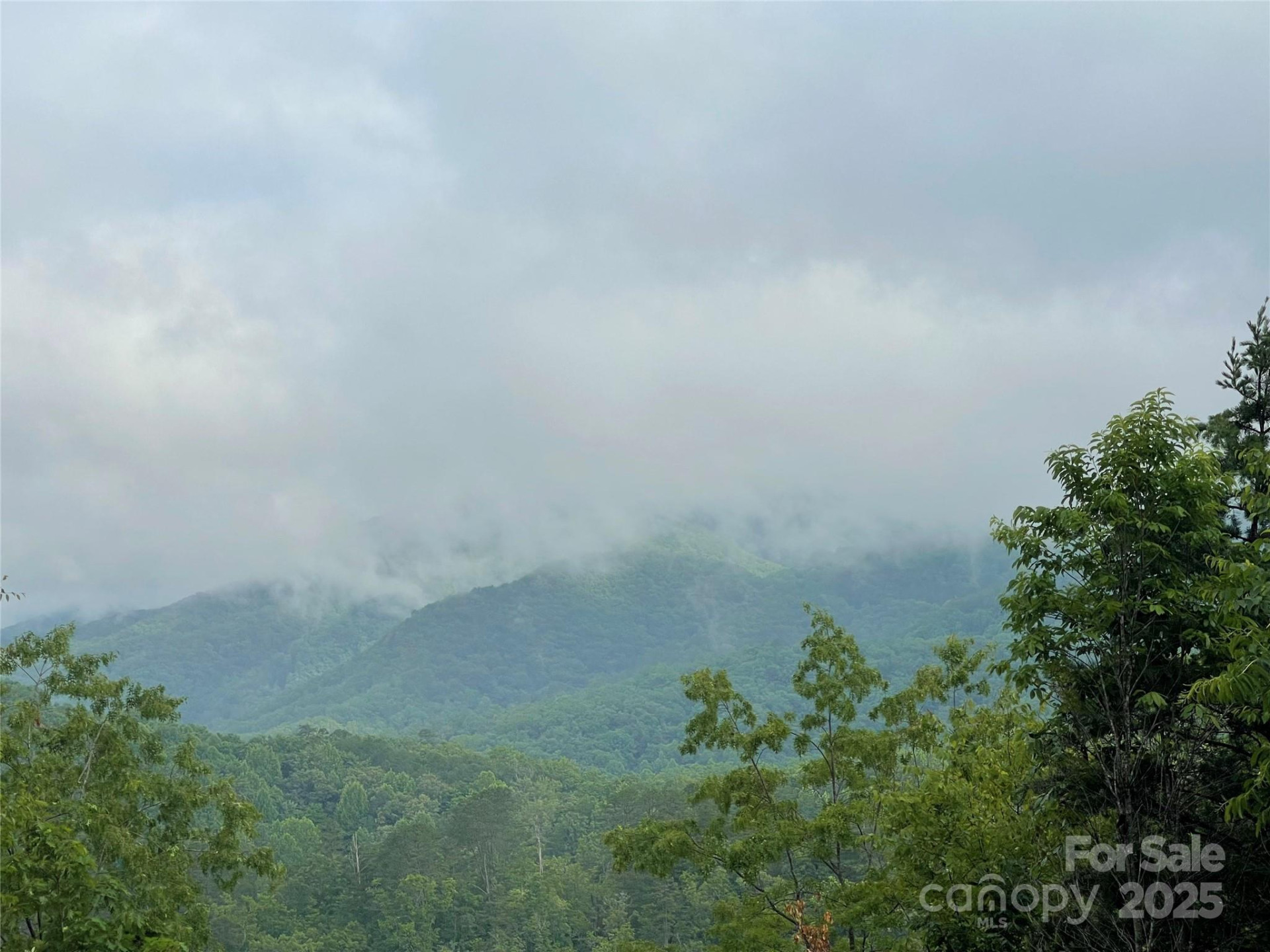 600 Fernwood Drive - Photo 7