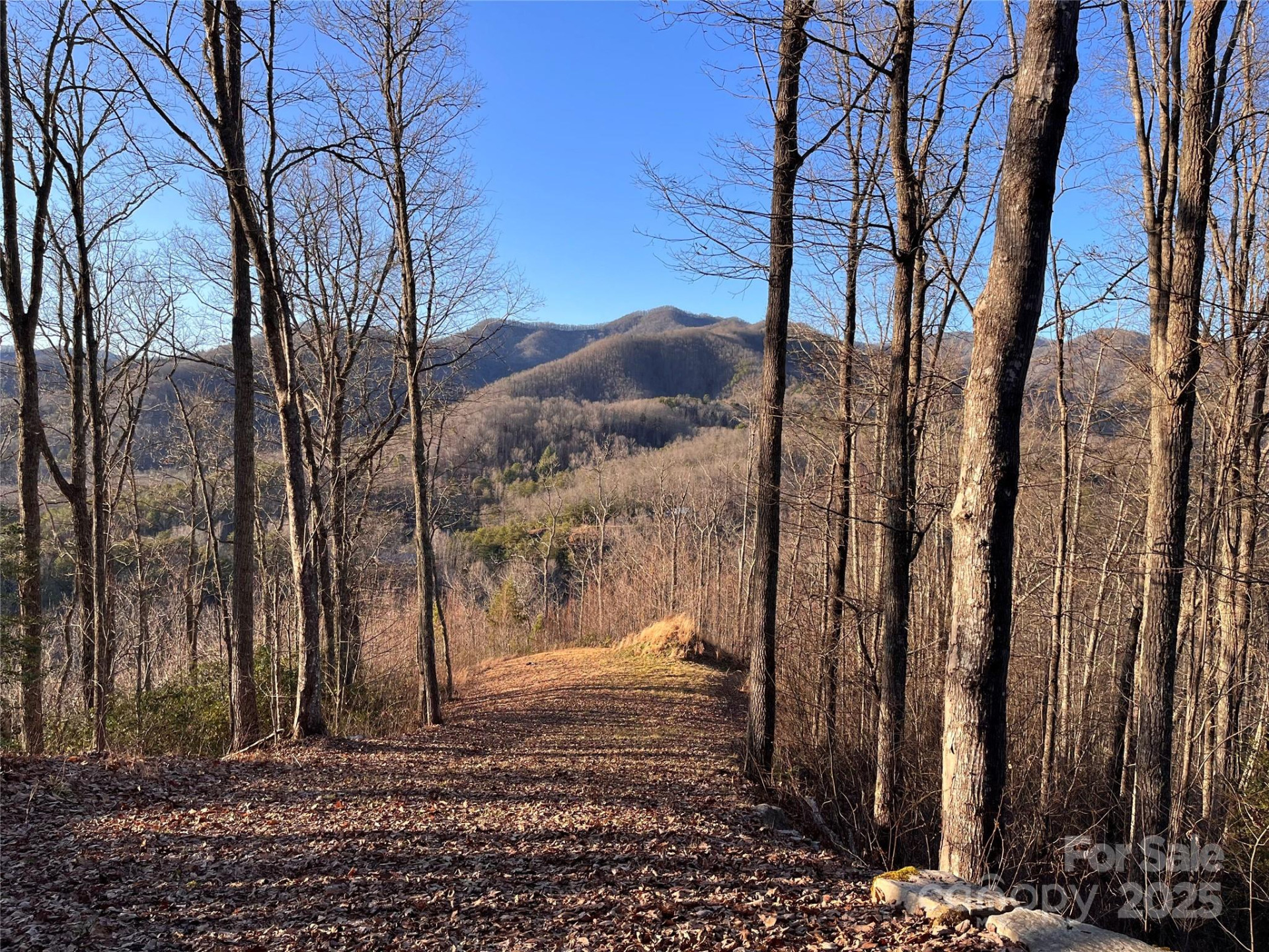 600 Fernwood Drive - Photo 8