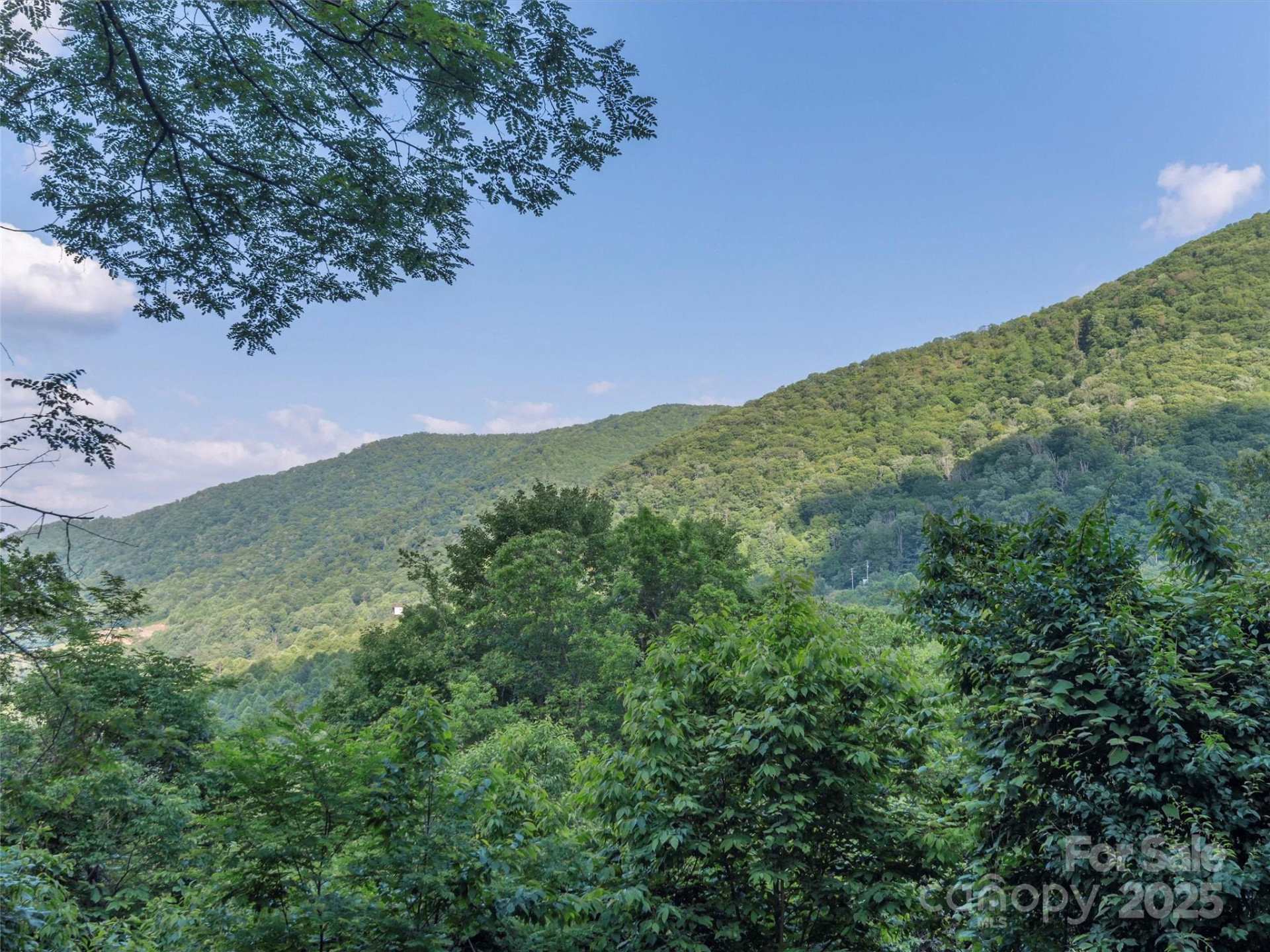 47 Tammy Drive - Photo 37