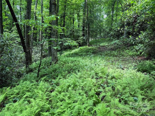 TBD Caroline Lane, Pisgah Forest, NC, 28768