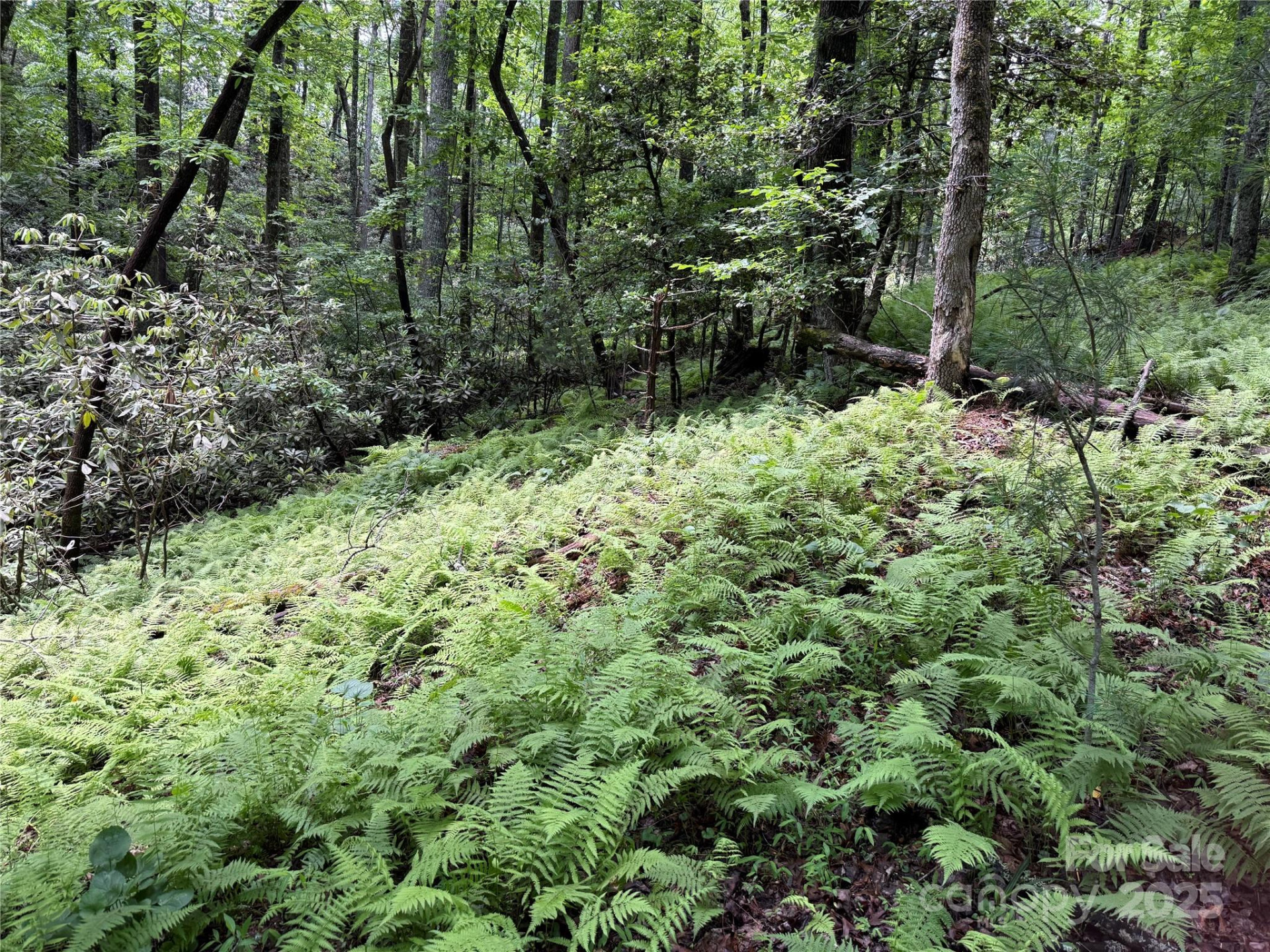 TBD Caroline Lane #7R - Photo 2