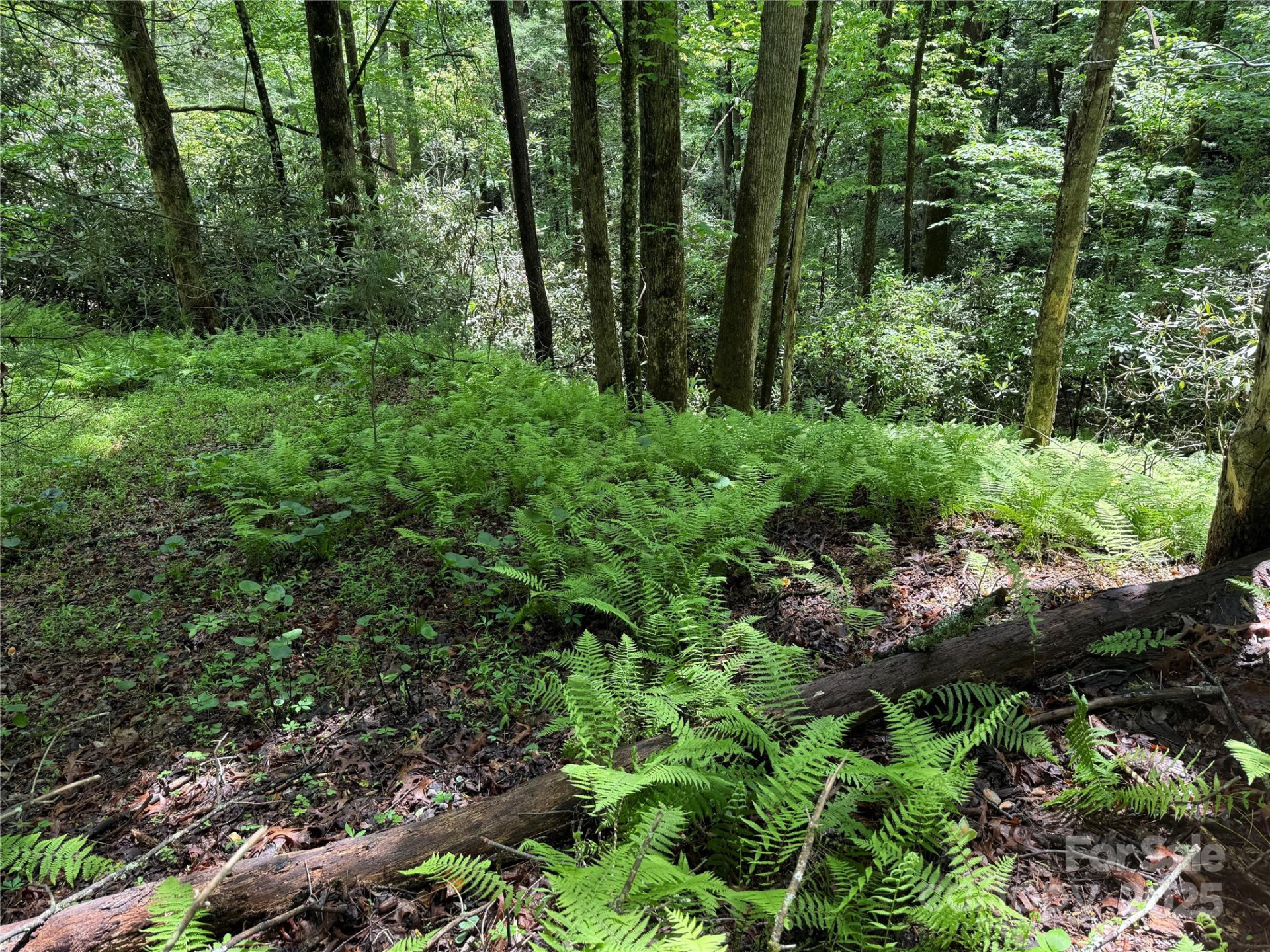 TBD Caroline Lane #7R - Photo 3