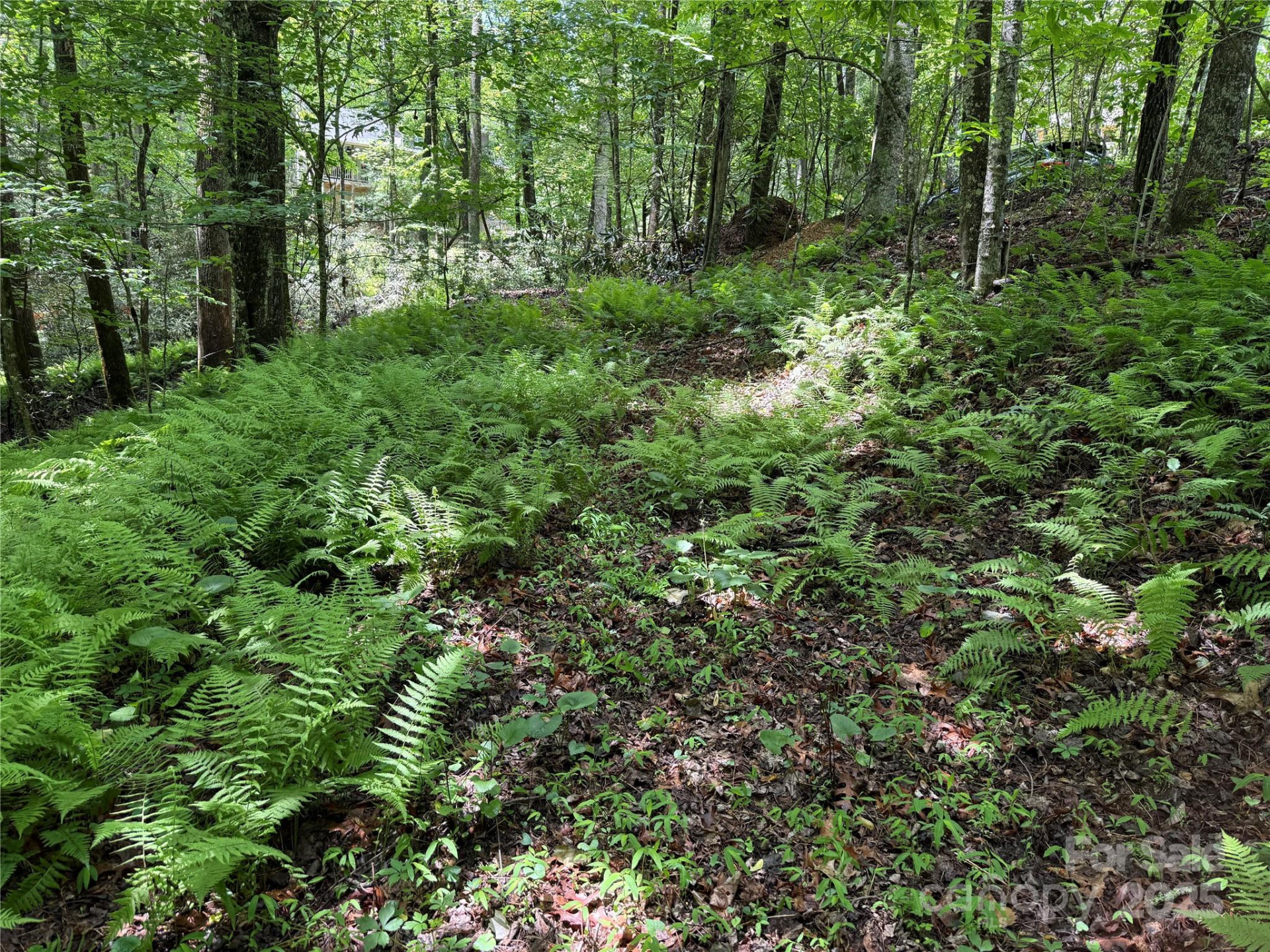 TBD Caroline Lane #7R - Photo 4