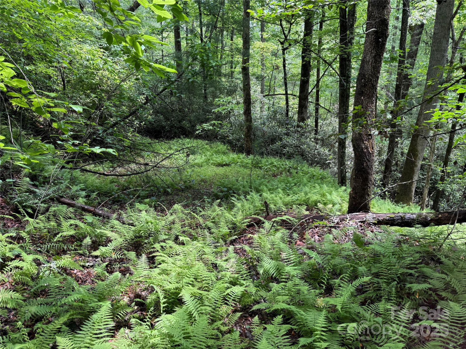 TBD Caroline Lane #7R - Photo 5