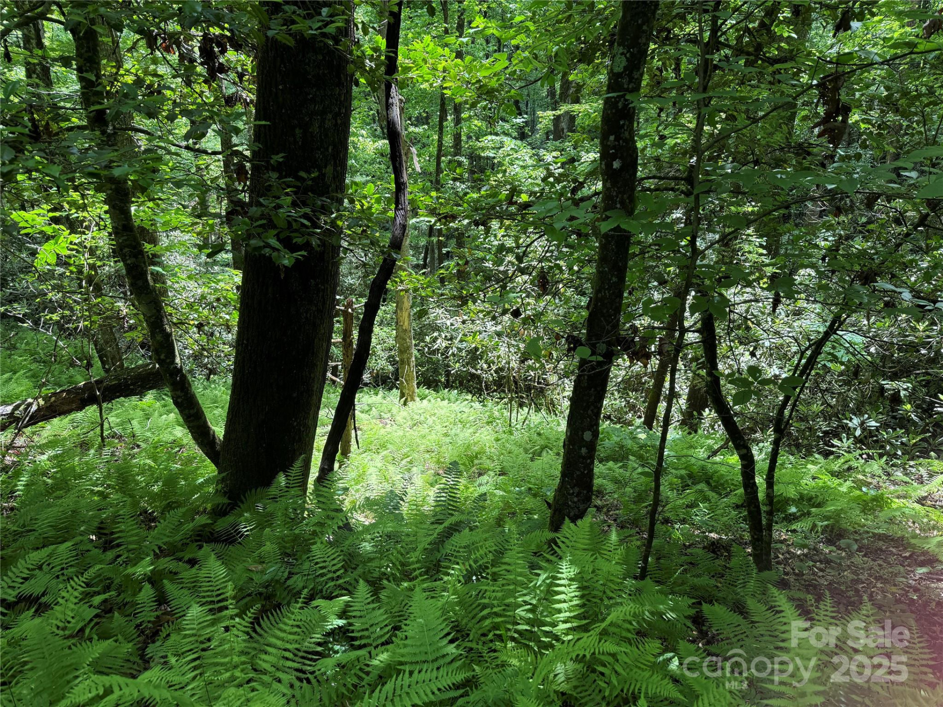 TBD Caroline Lane #7R - Photo 6