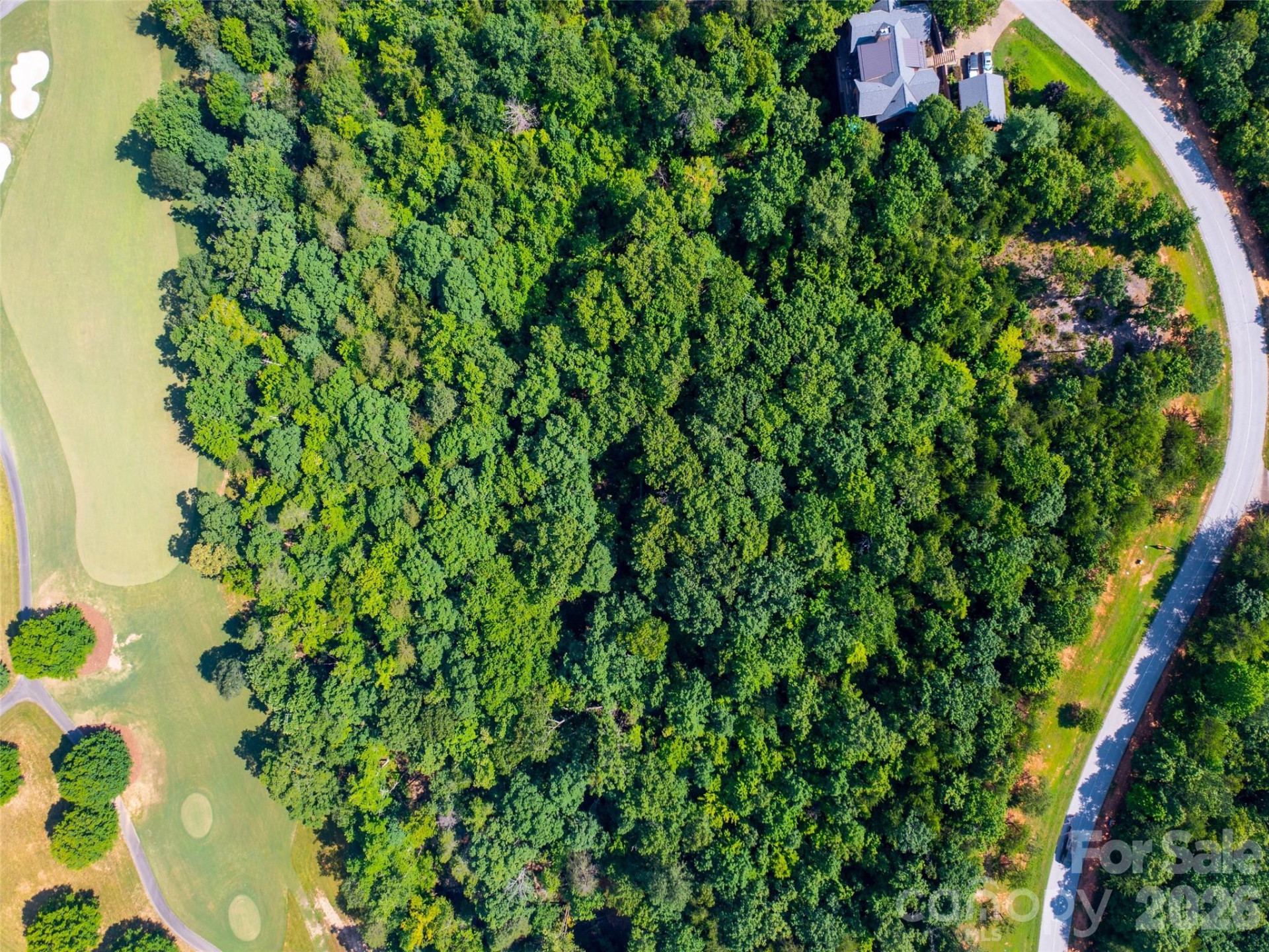 40 Deep Gap Farm Road - Photo 13