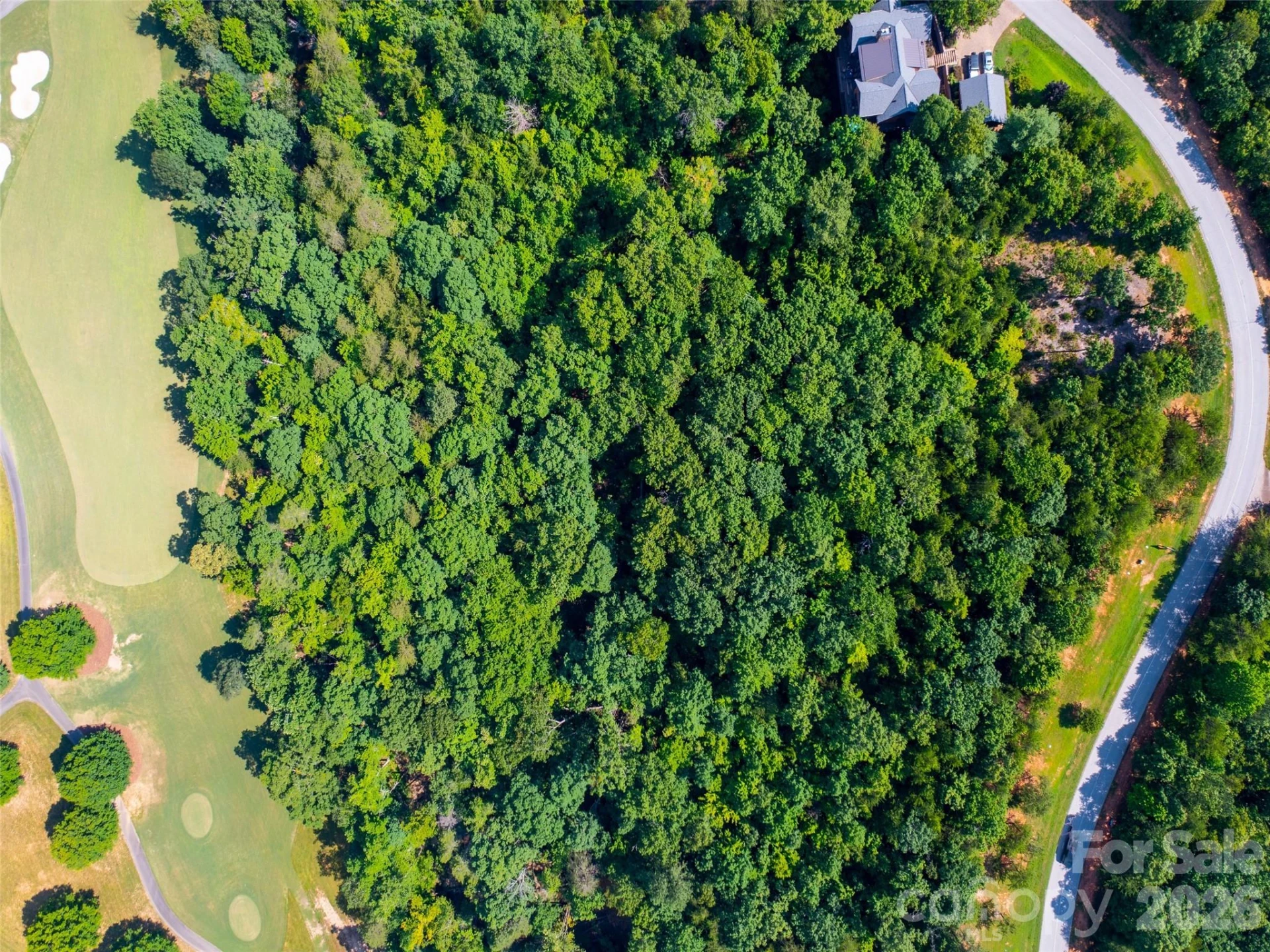 40 Deep Gap Farm Road - Photo 13