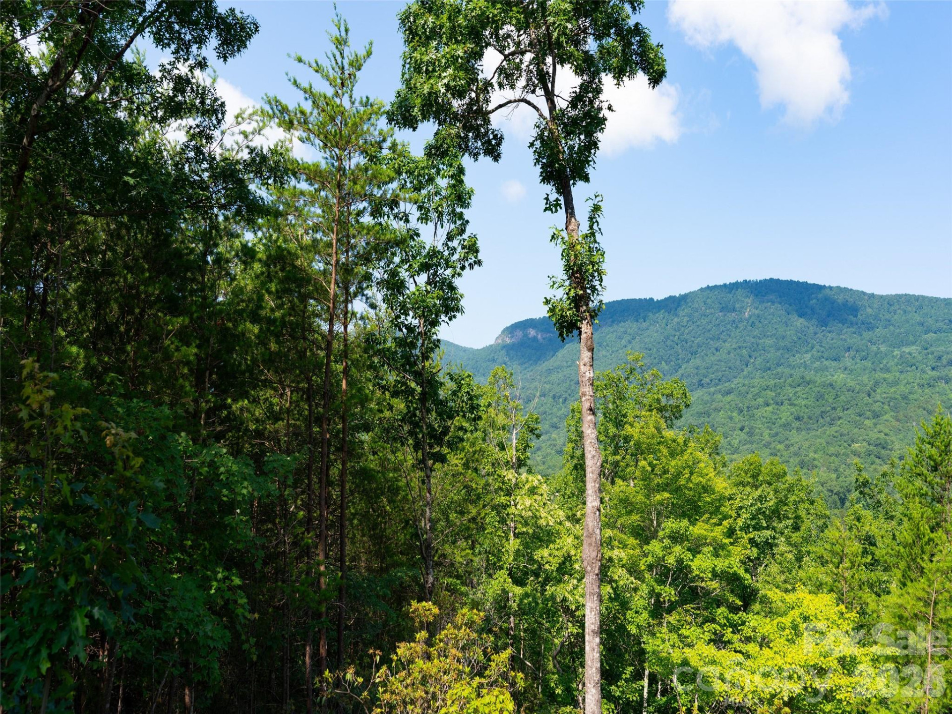 40 Deep Gap Farm Road - Photo 7