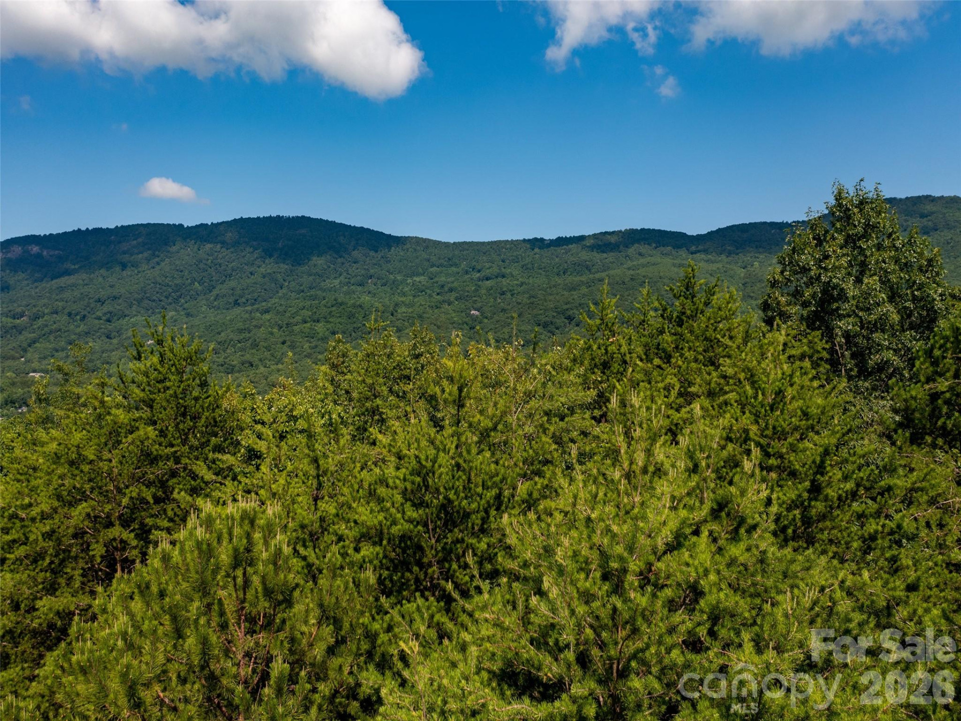 40 Deep Gap Farm Road - Photo 9