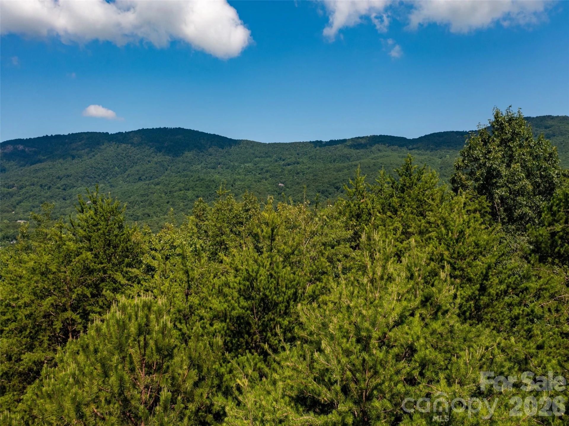 40 Deep Gap Farm Road - Photo 9