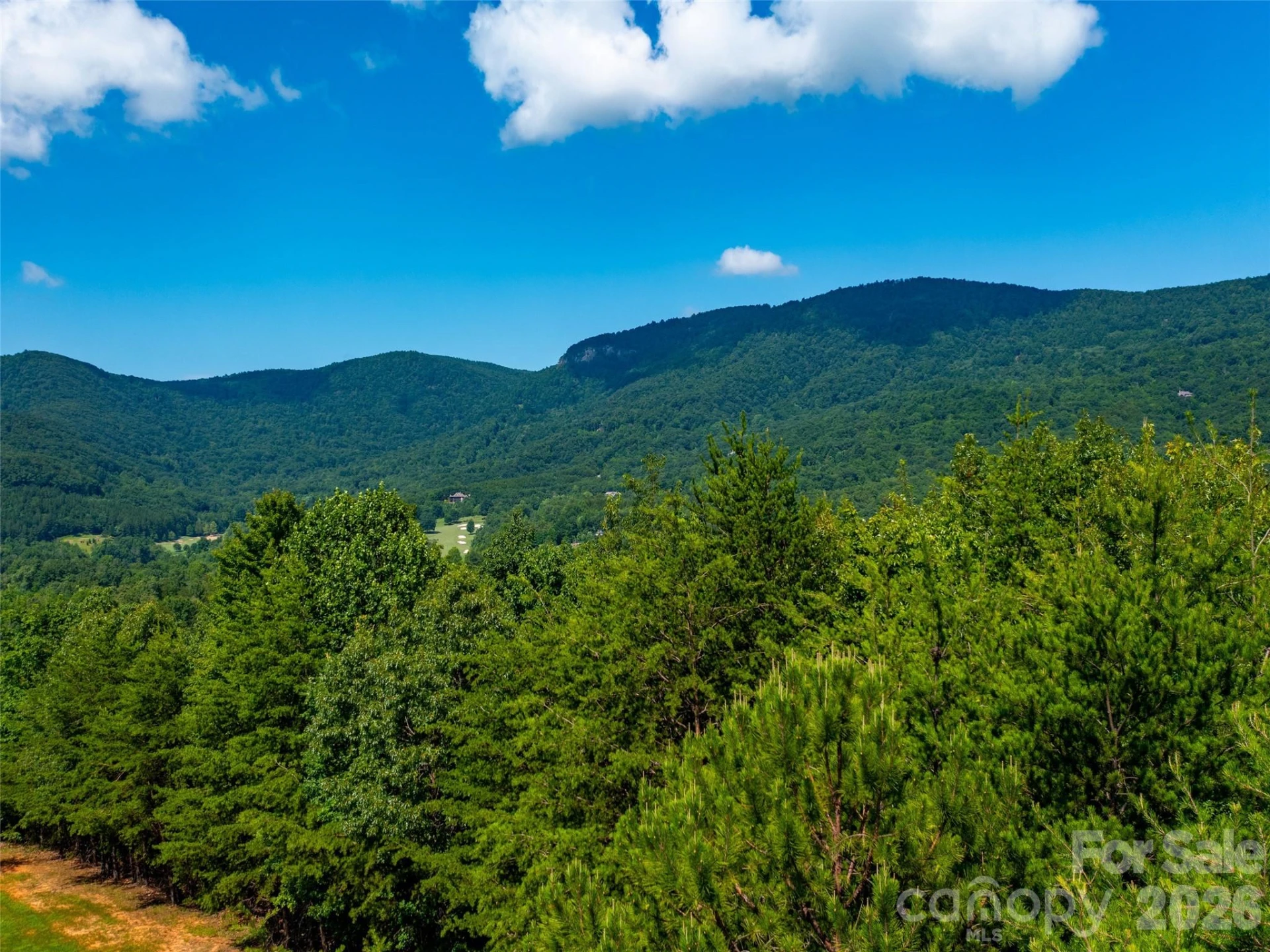 40 Deep Gap Farm Road - Photo 10
