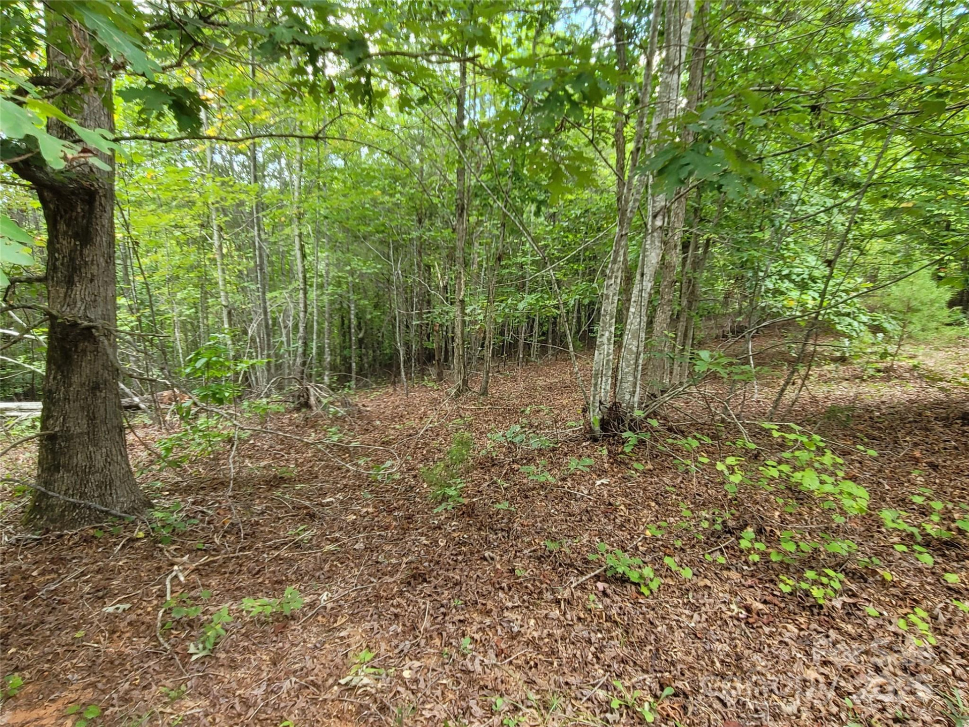 0 Big Level Road - Photo 11