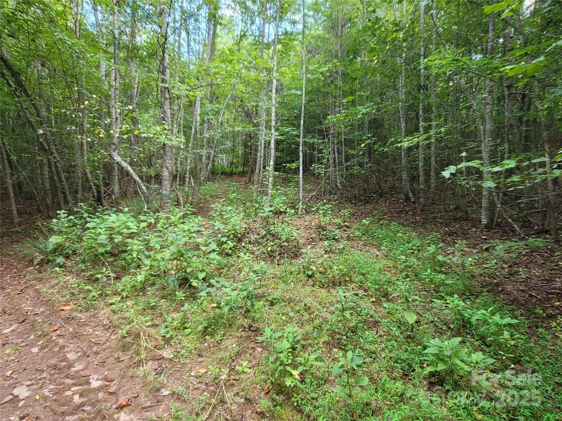 0 Big Level Road - Photo 13