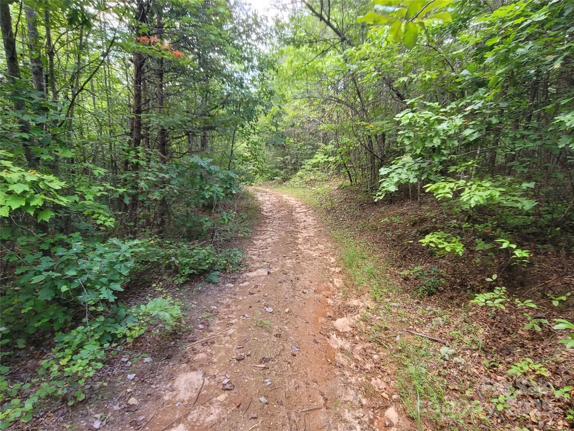 0 Big Level Road - Photo 14