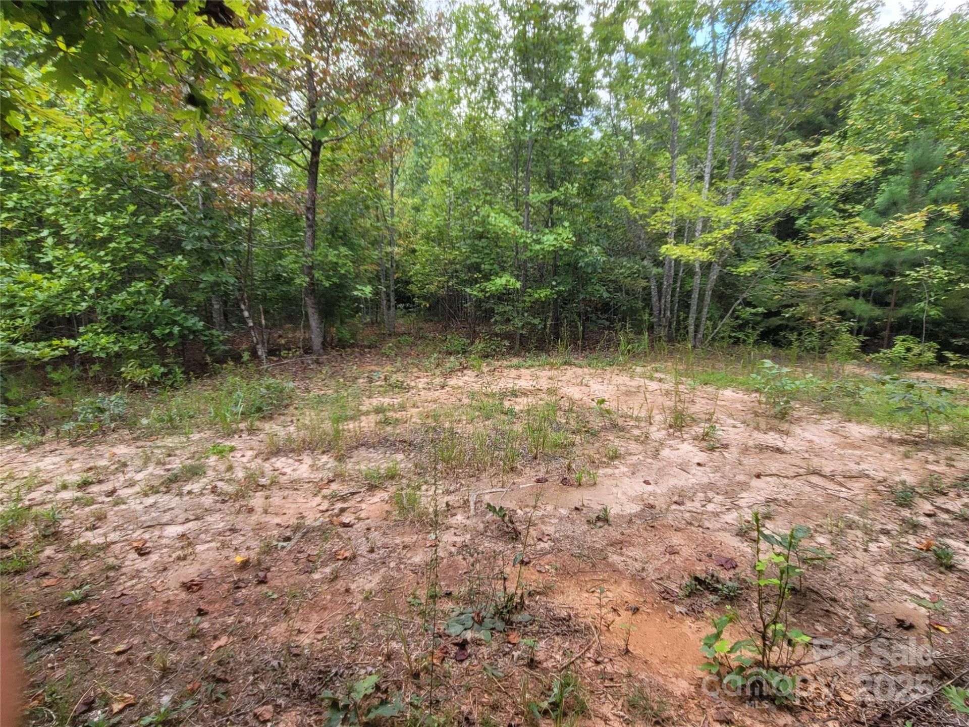 0 Big Level Road - Photo 15