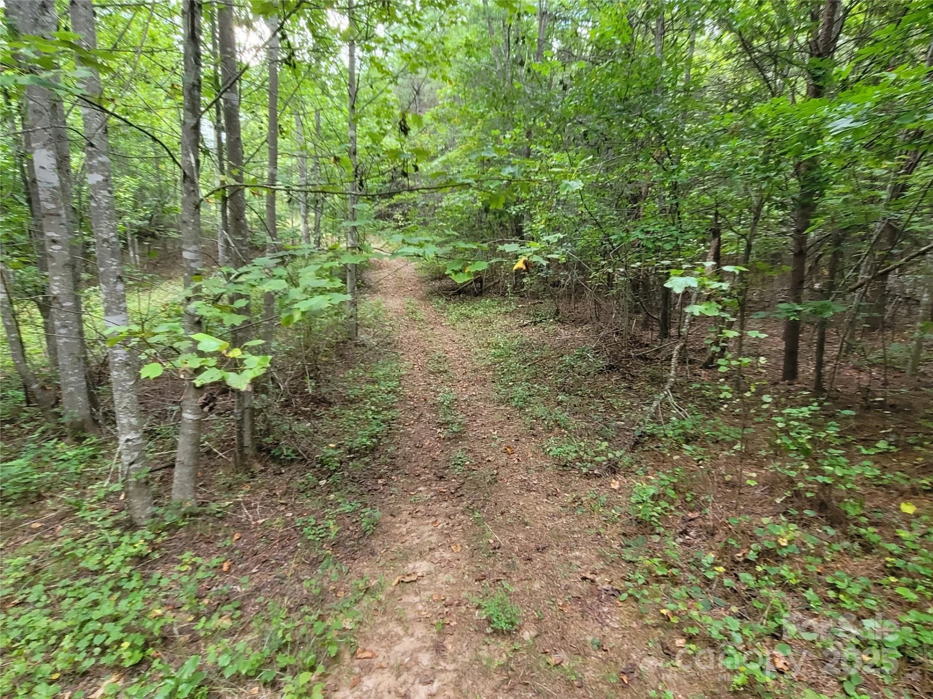 0 Big Level Road - Photo 17