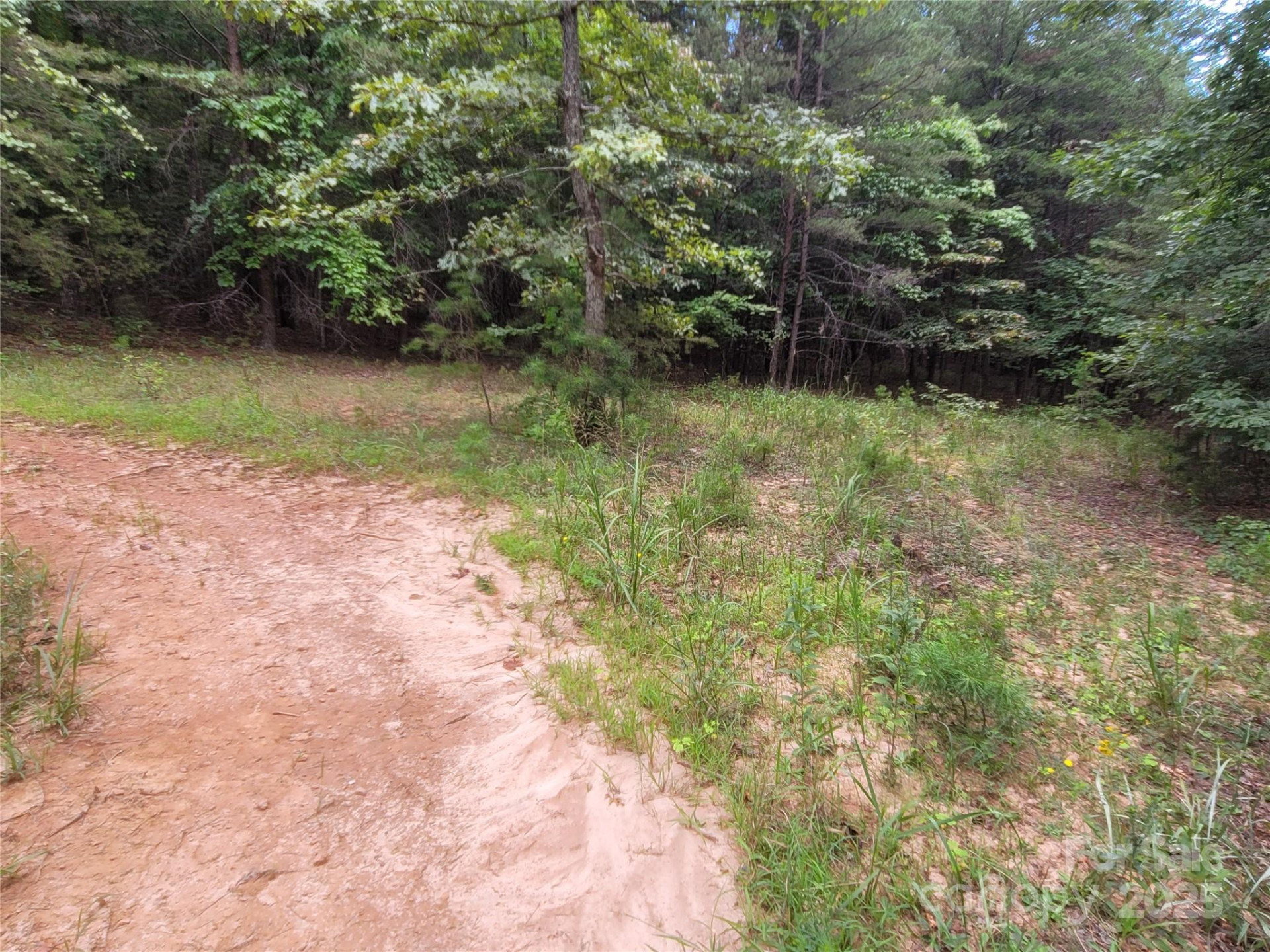 0 Big Level Road - Photo 19