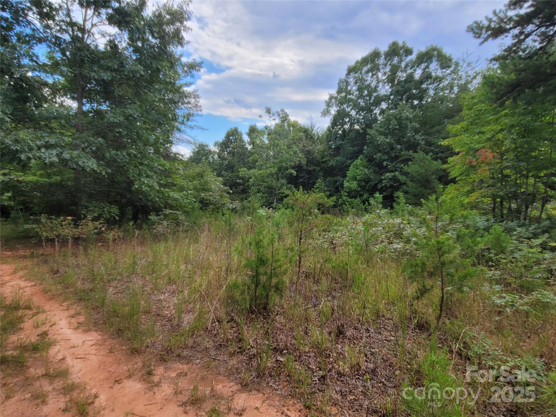 0 Big Level Road - Photo 20