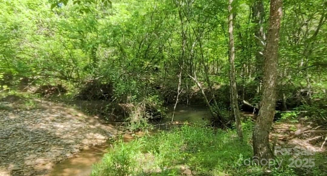 0 Big Level Road - Photo 3