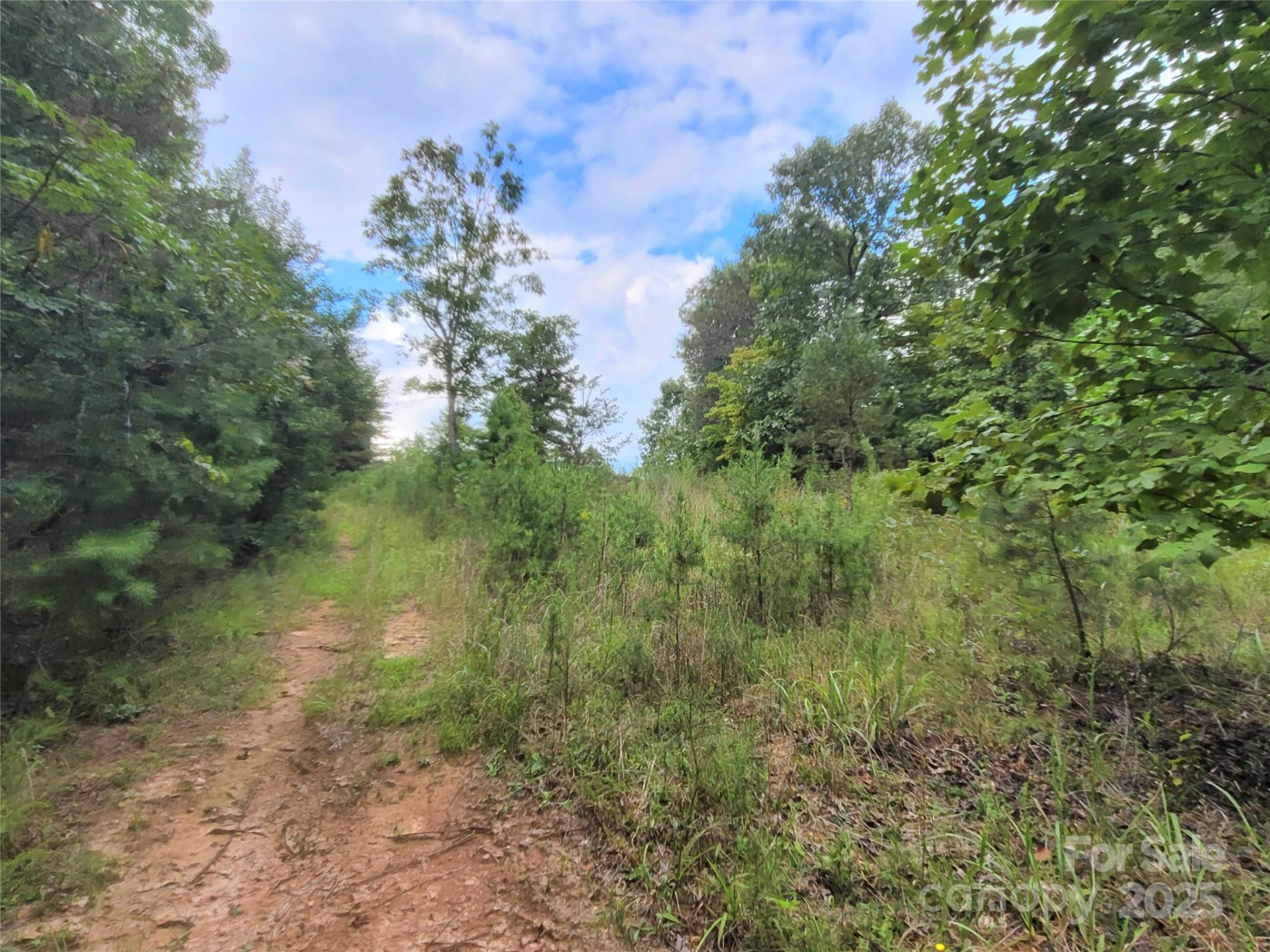 0 Big Level Road - Photo 22