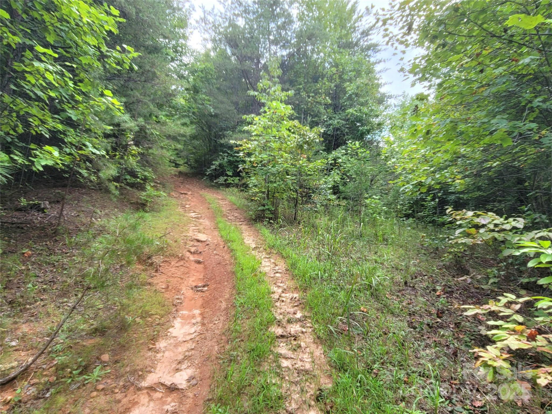 0 Big Level Road - Photo 24