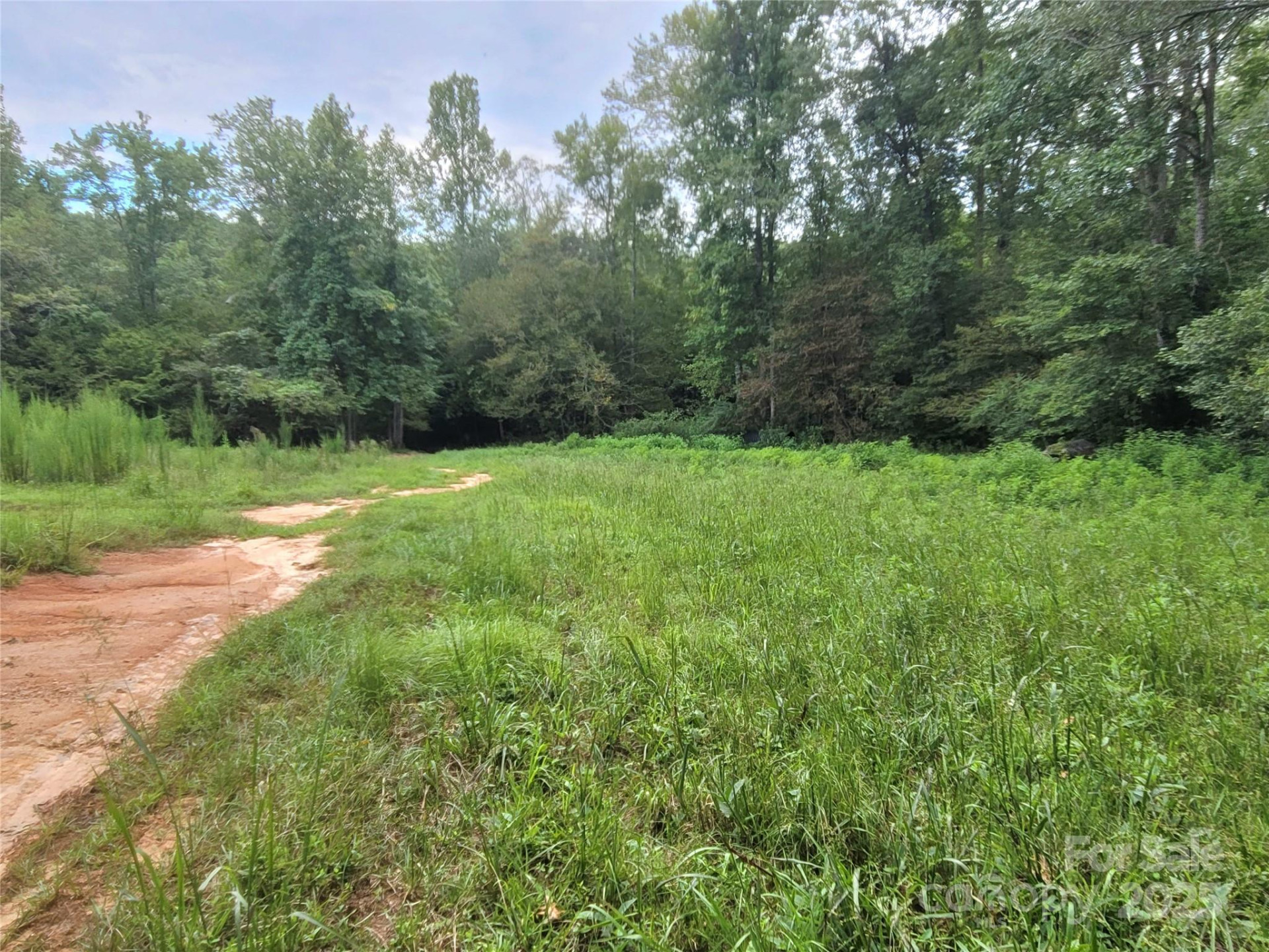 0 Big Level Road - Photo 4